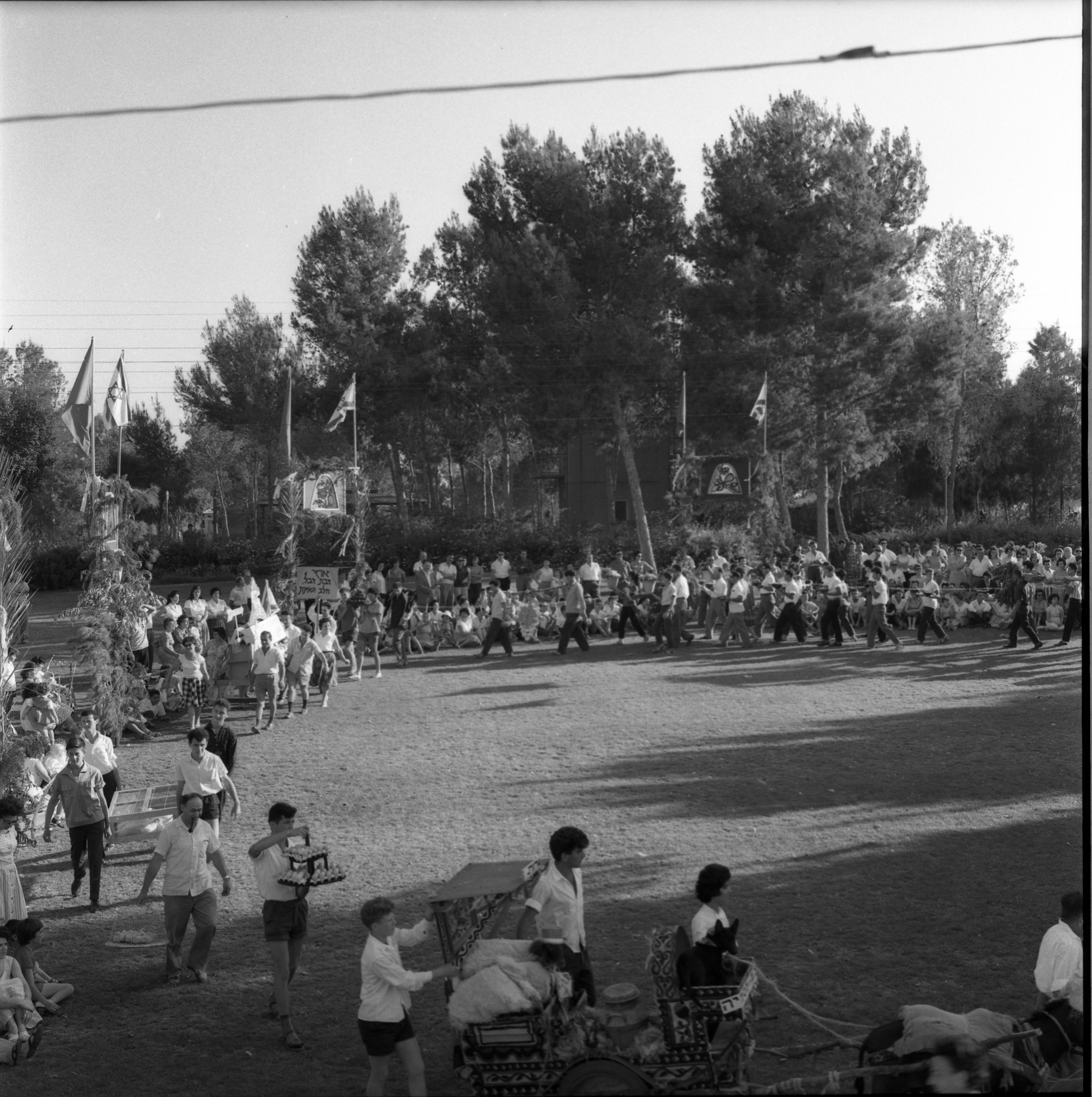  חג- הביכורים תשכ"ג; 1963