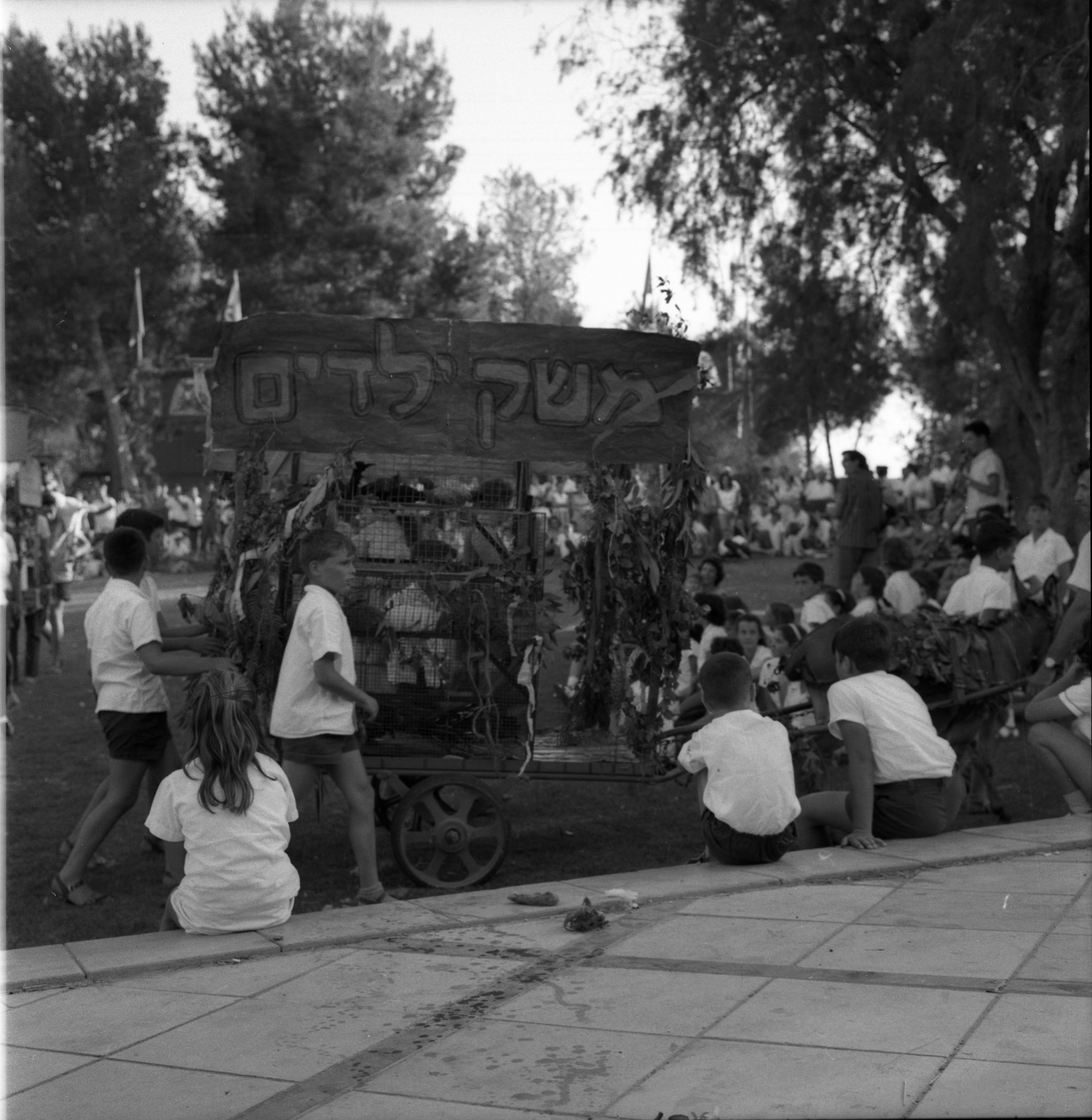  חג- הביכורים; 1965?