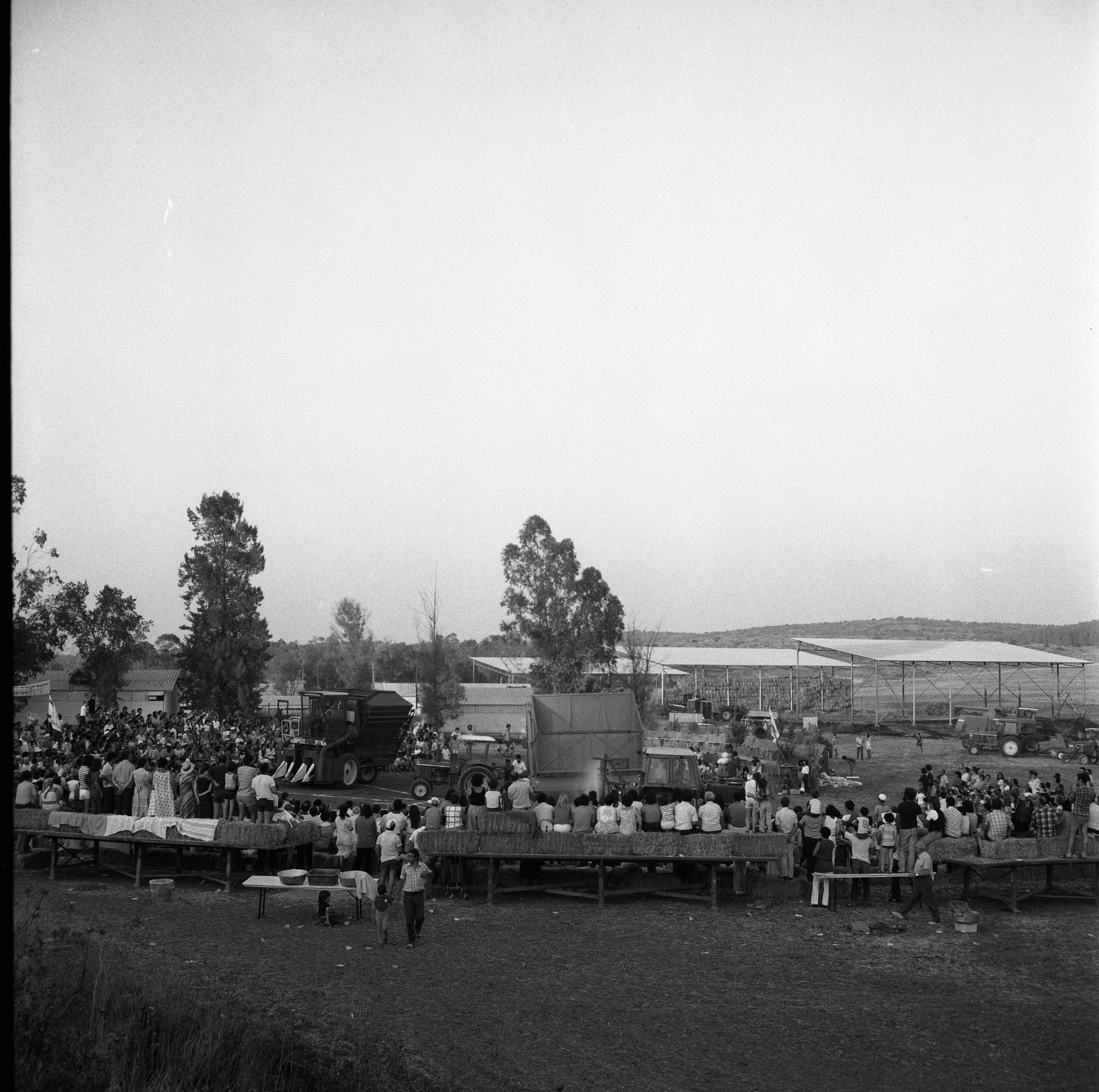  חג ביכורים; 1981