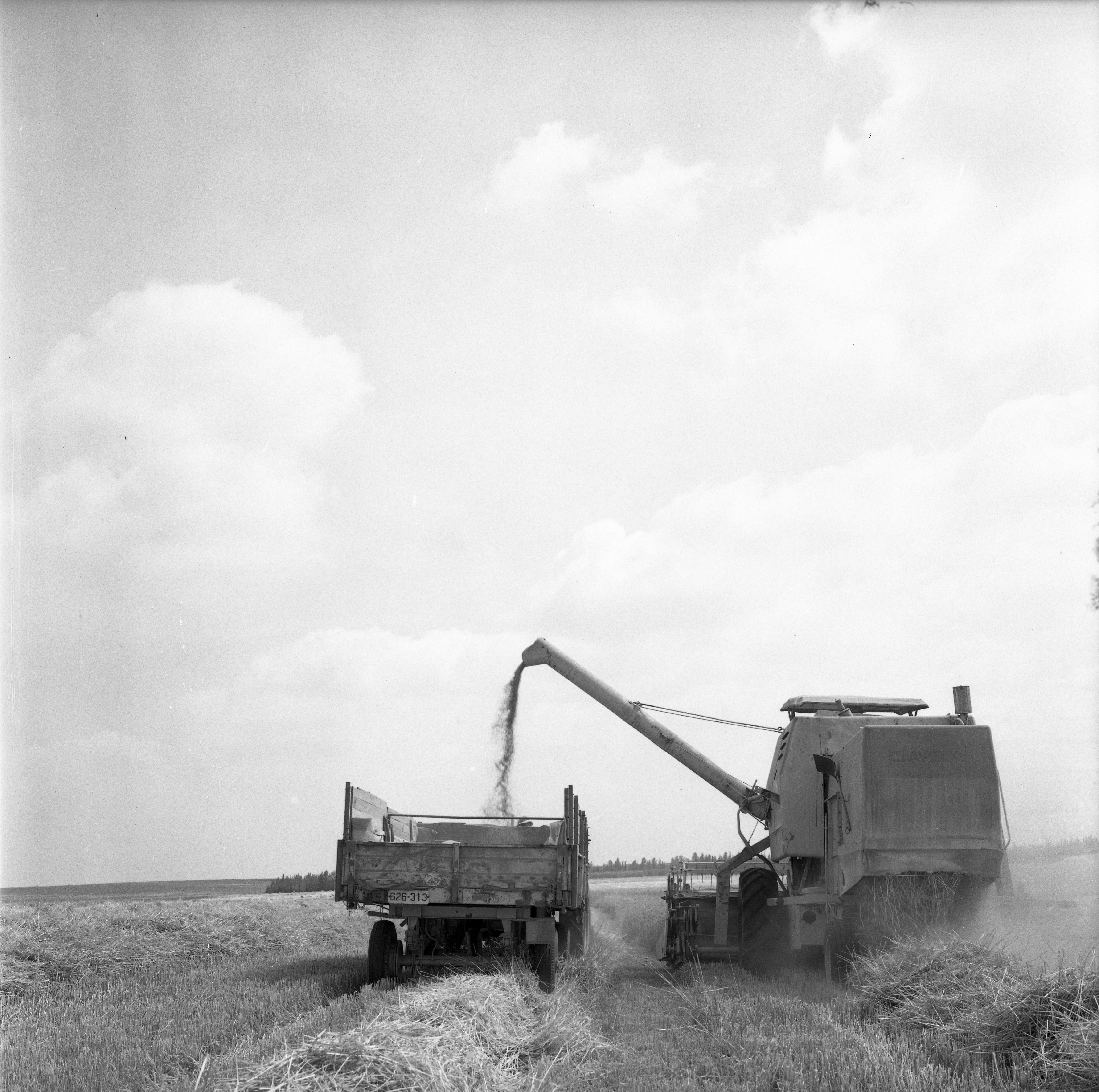  פלחה; 1972