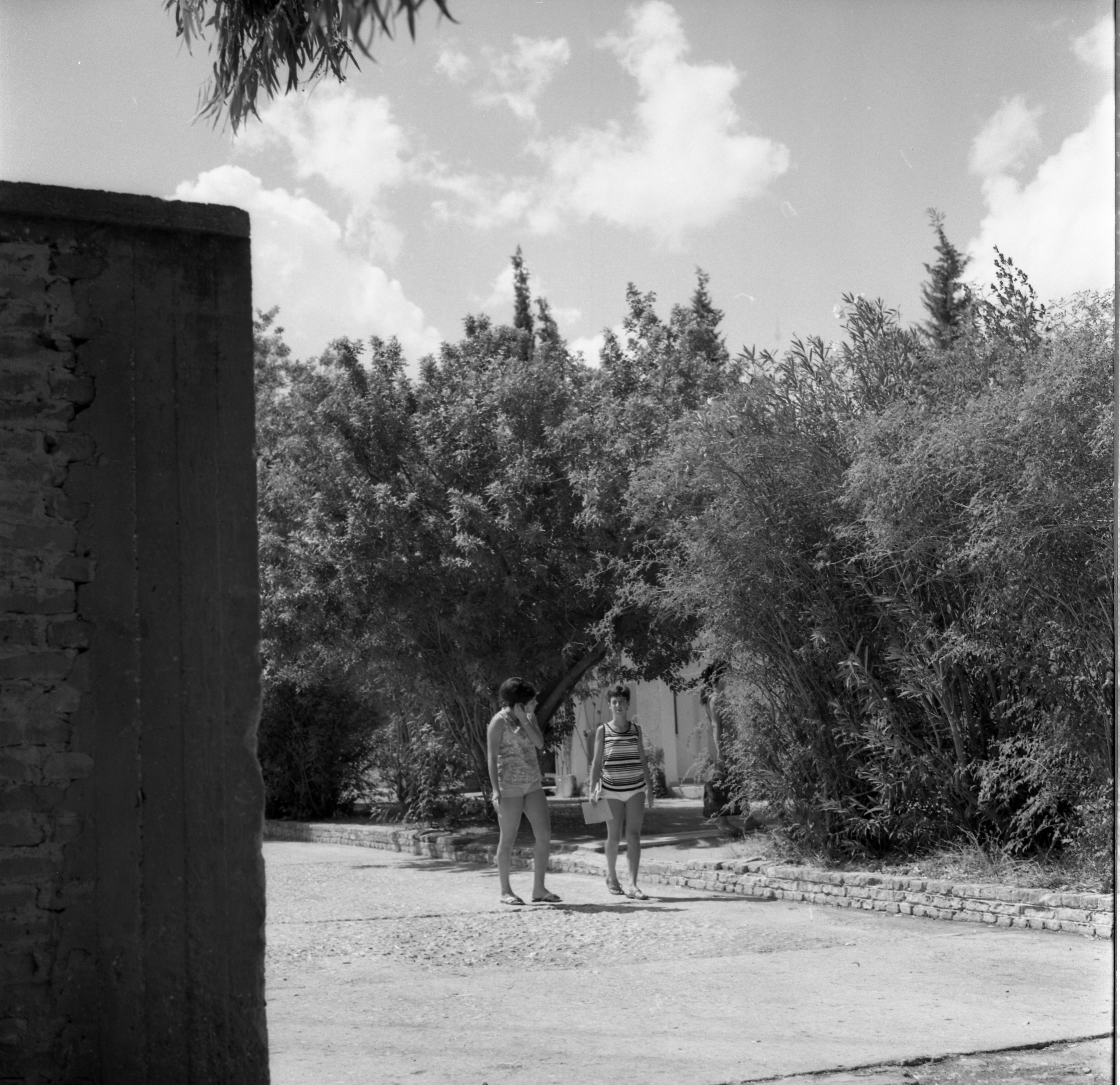  גבעת חביבה; 1968