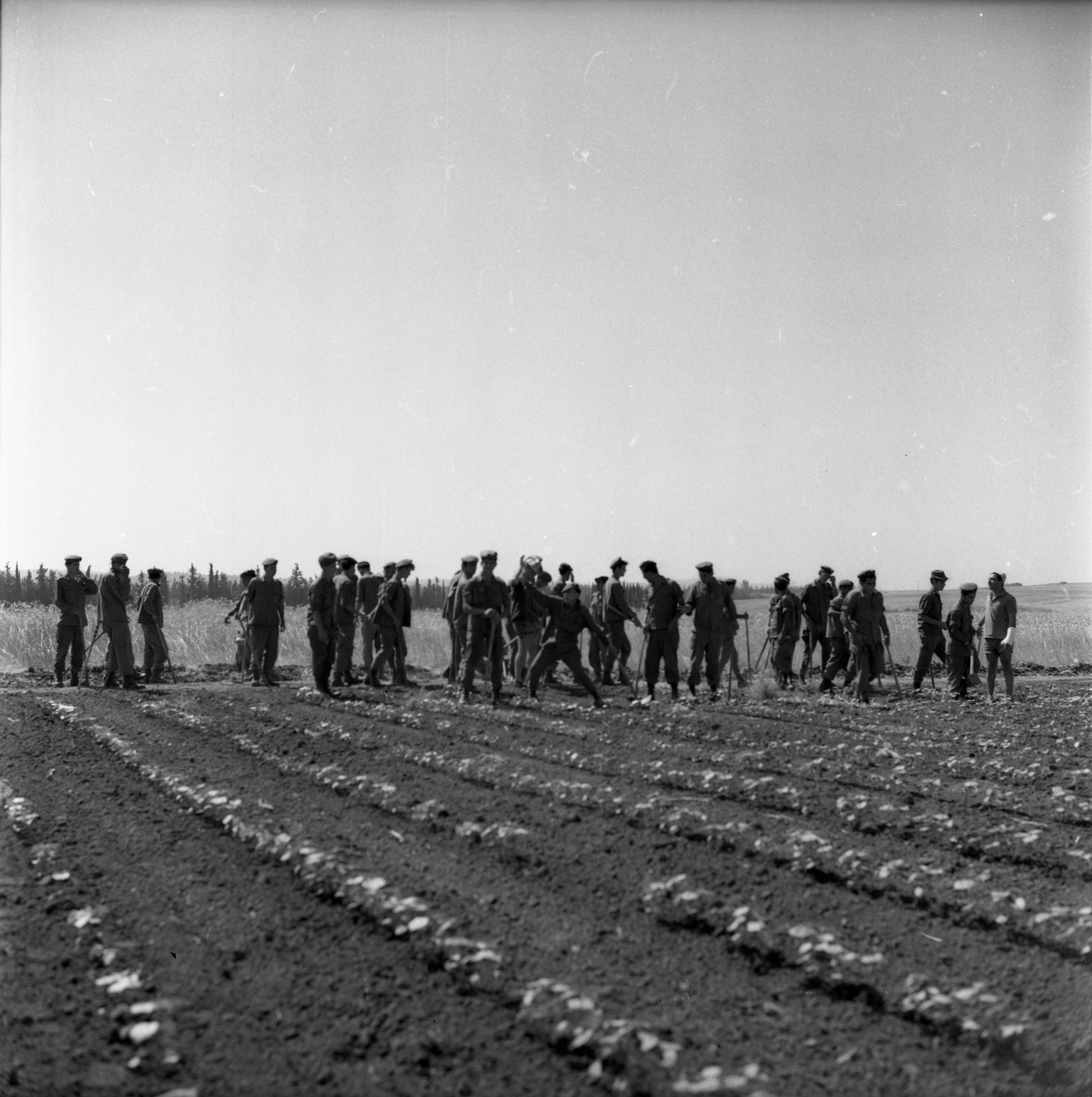  גיוס חיילים לעישוב כותנה; 1969