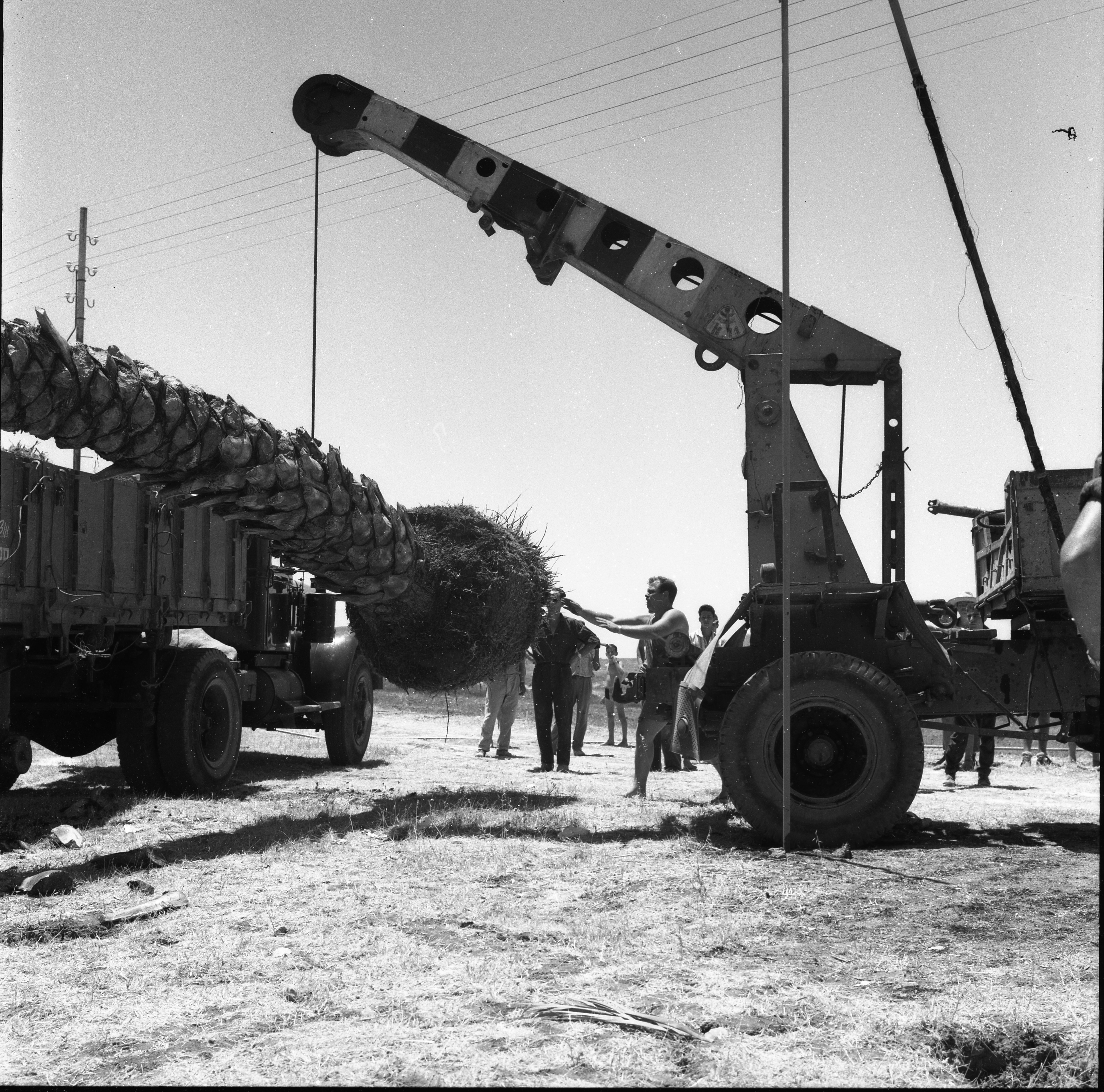  הקמת גן הזכרון לשבעה