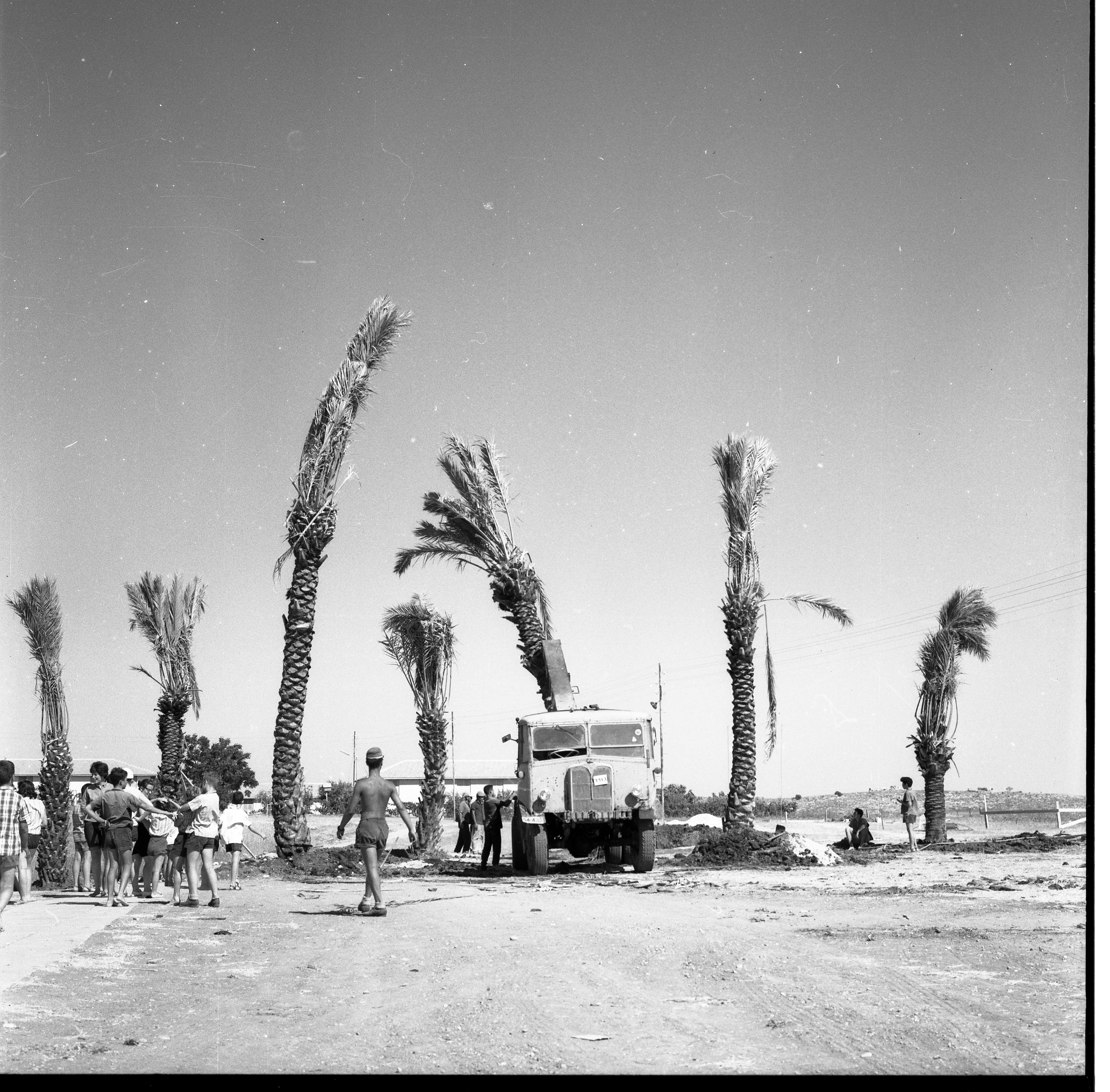  הקמת גן הזכרון לשבעה