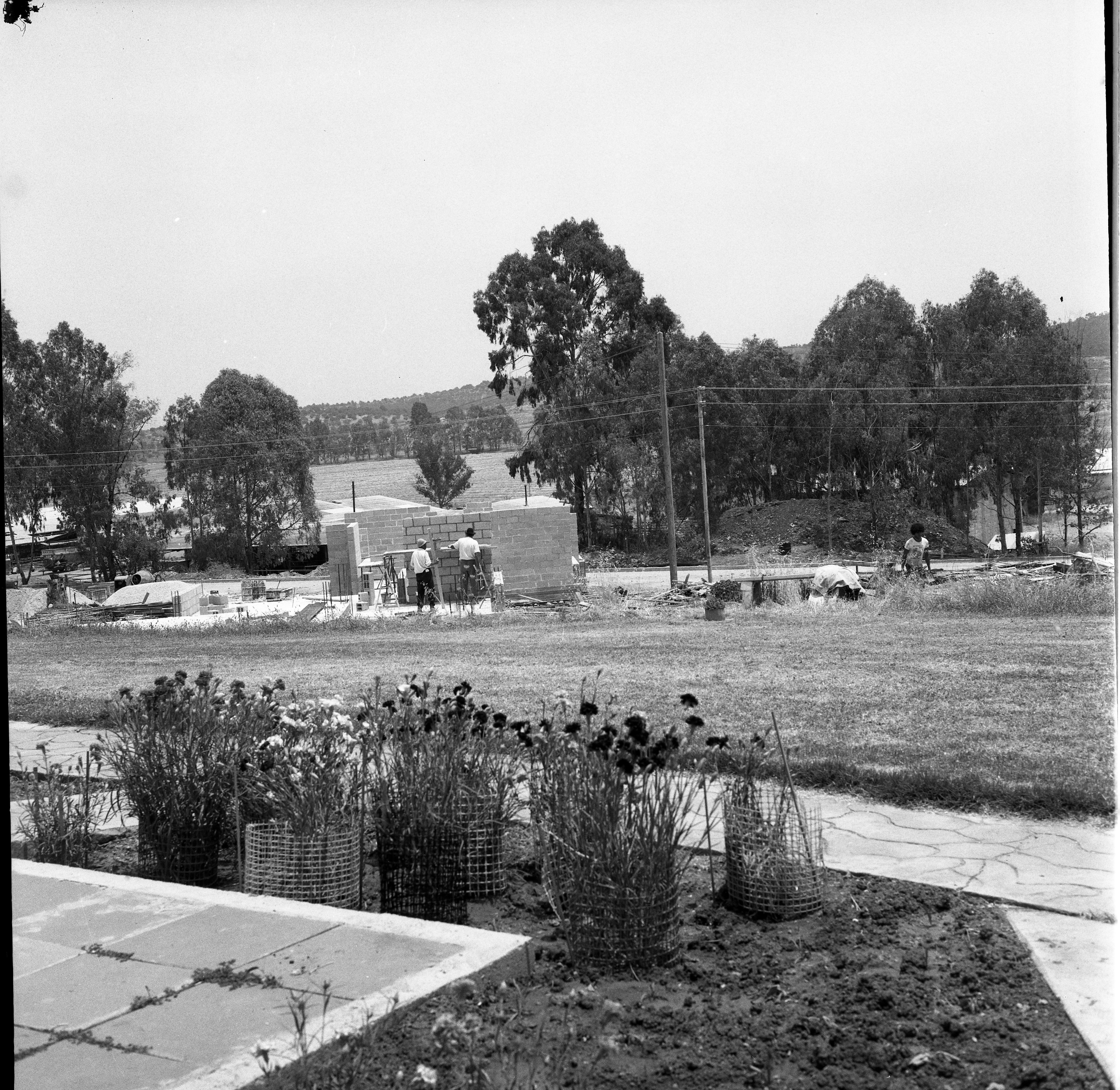  בניית בניית המגבנה ליד הרפת; 1969