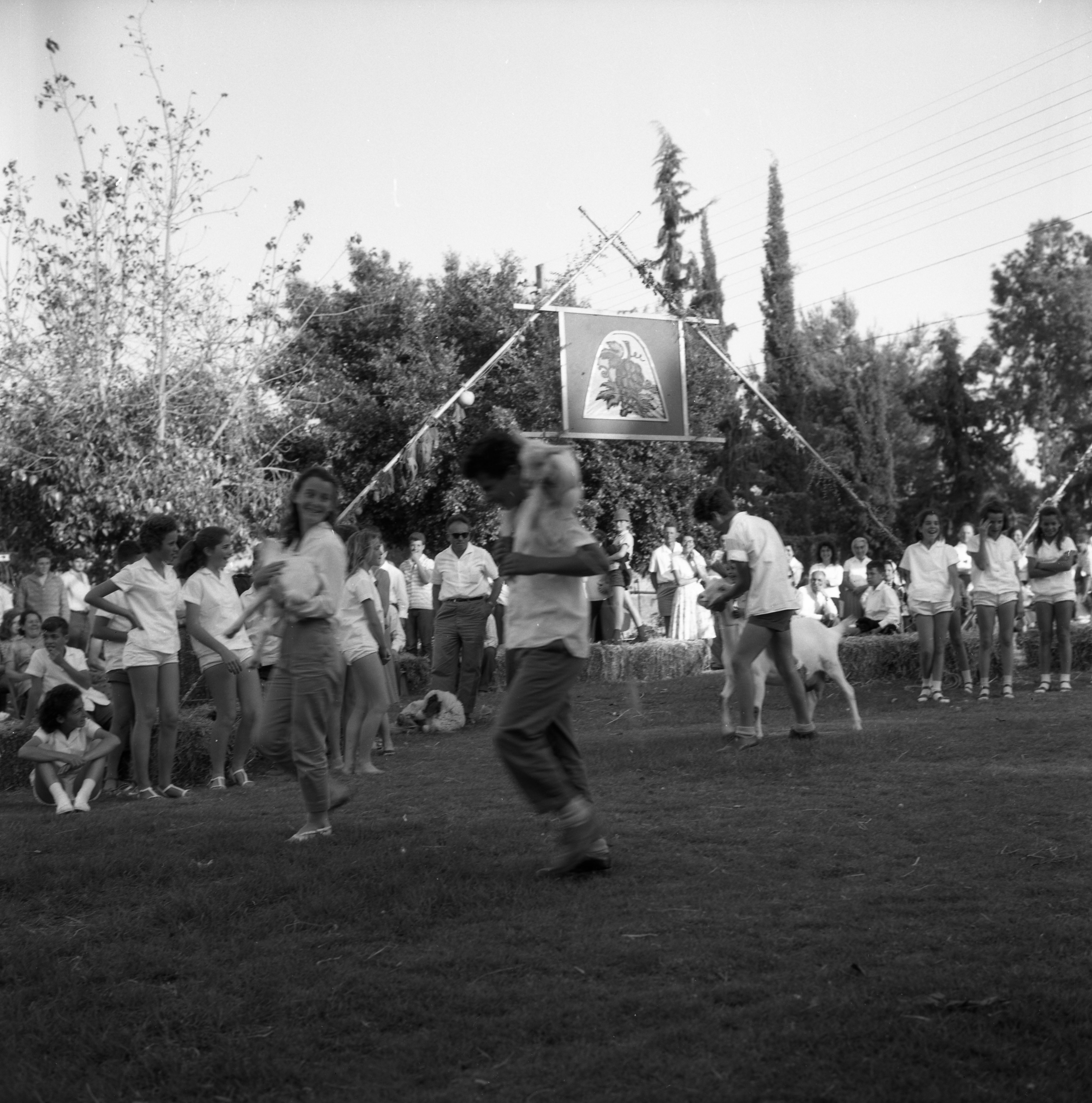  חגי עצמאות/ביכורים תשכ"ד; 1964