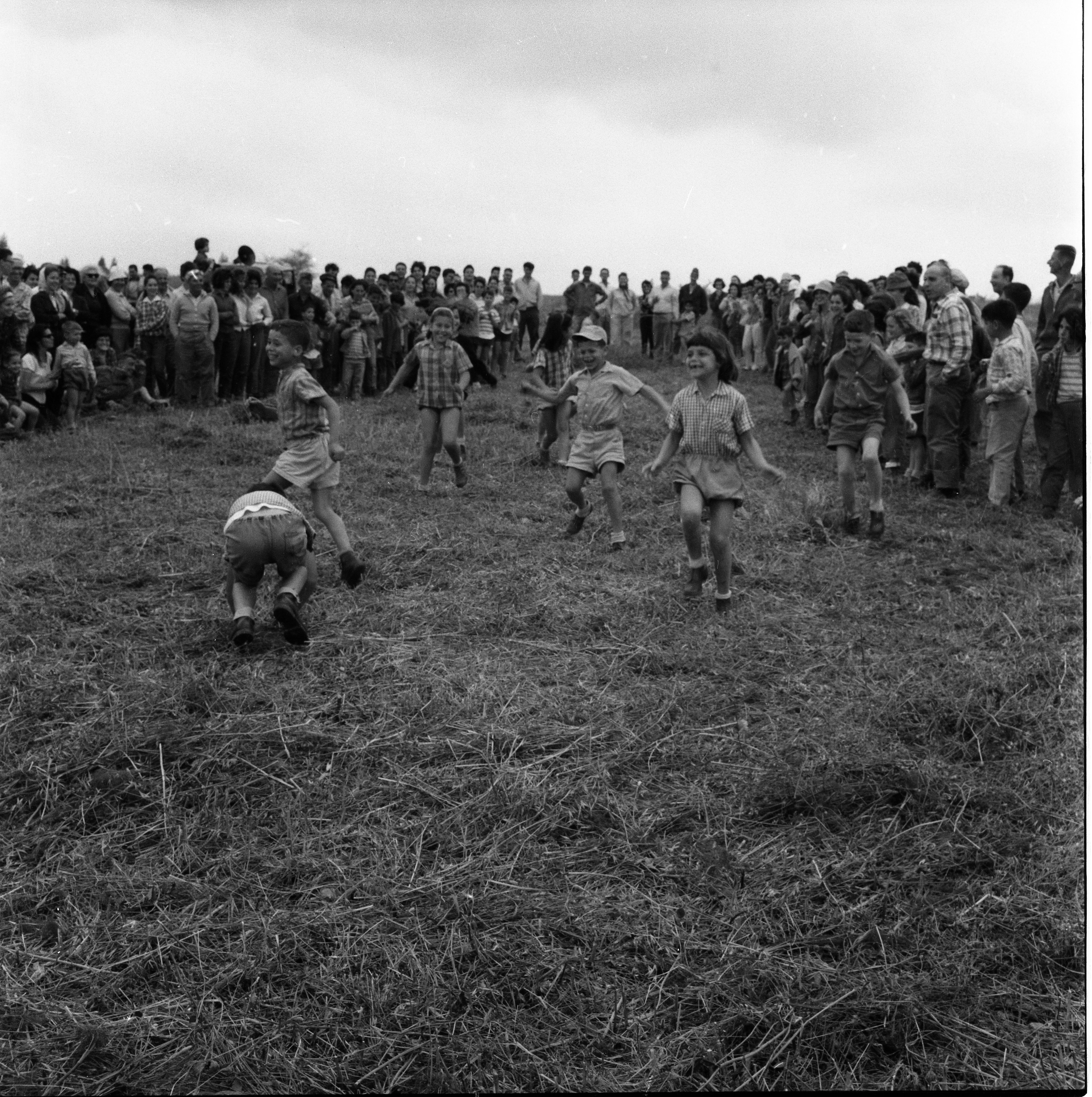  חגי עצמאות/ביכורים תשכ"ד; 1964