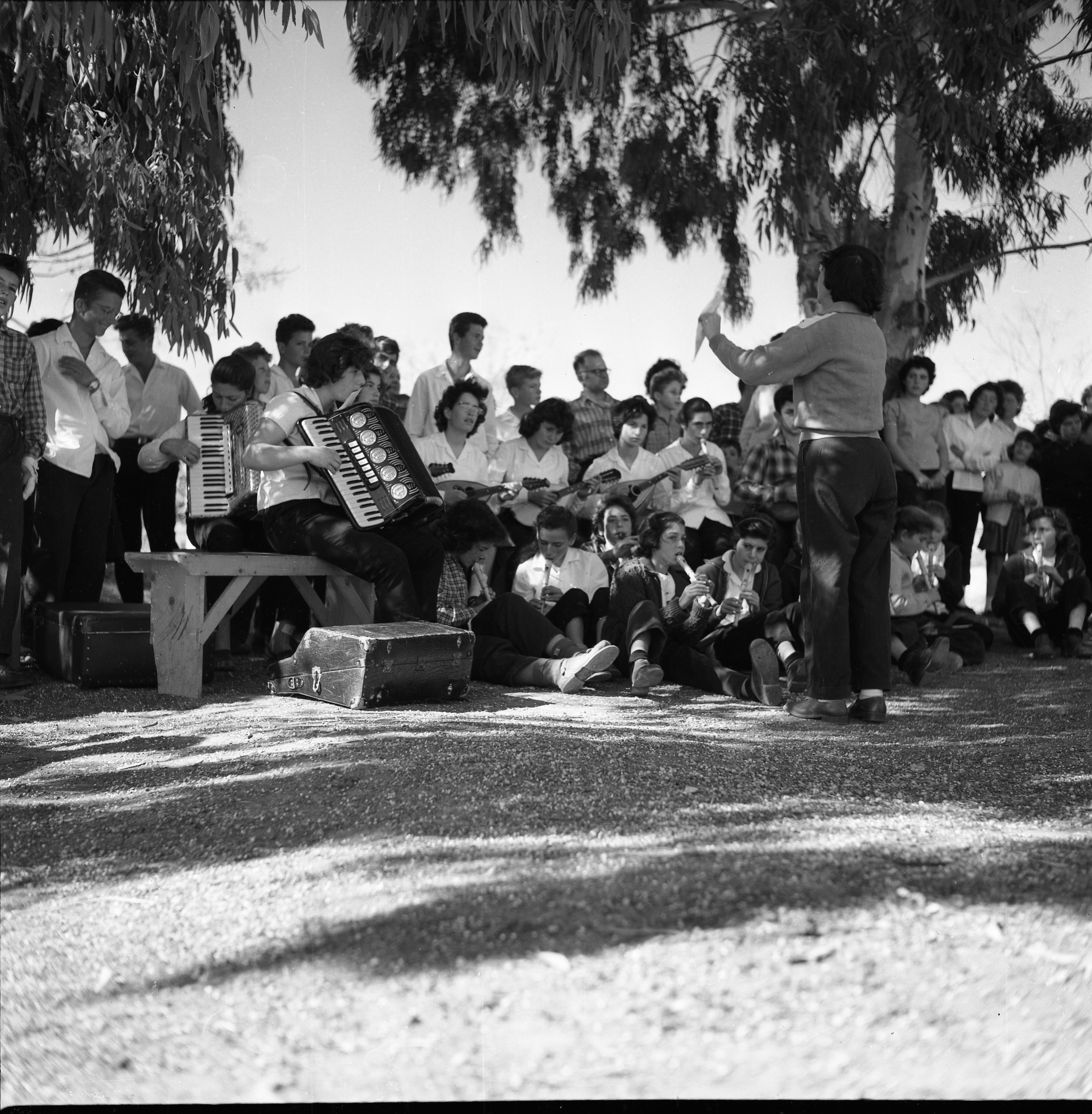  מנצחת בלה כספי ט"ו בשבט; 1960