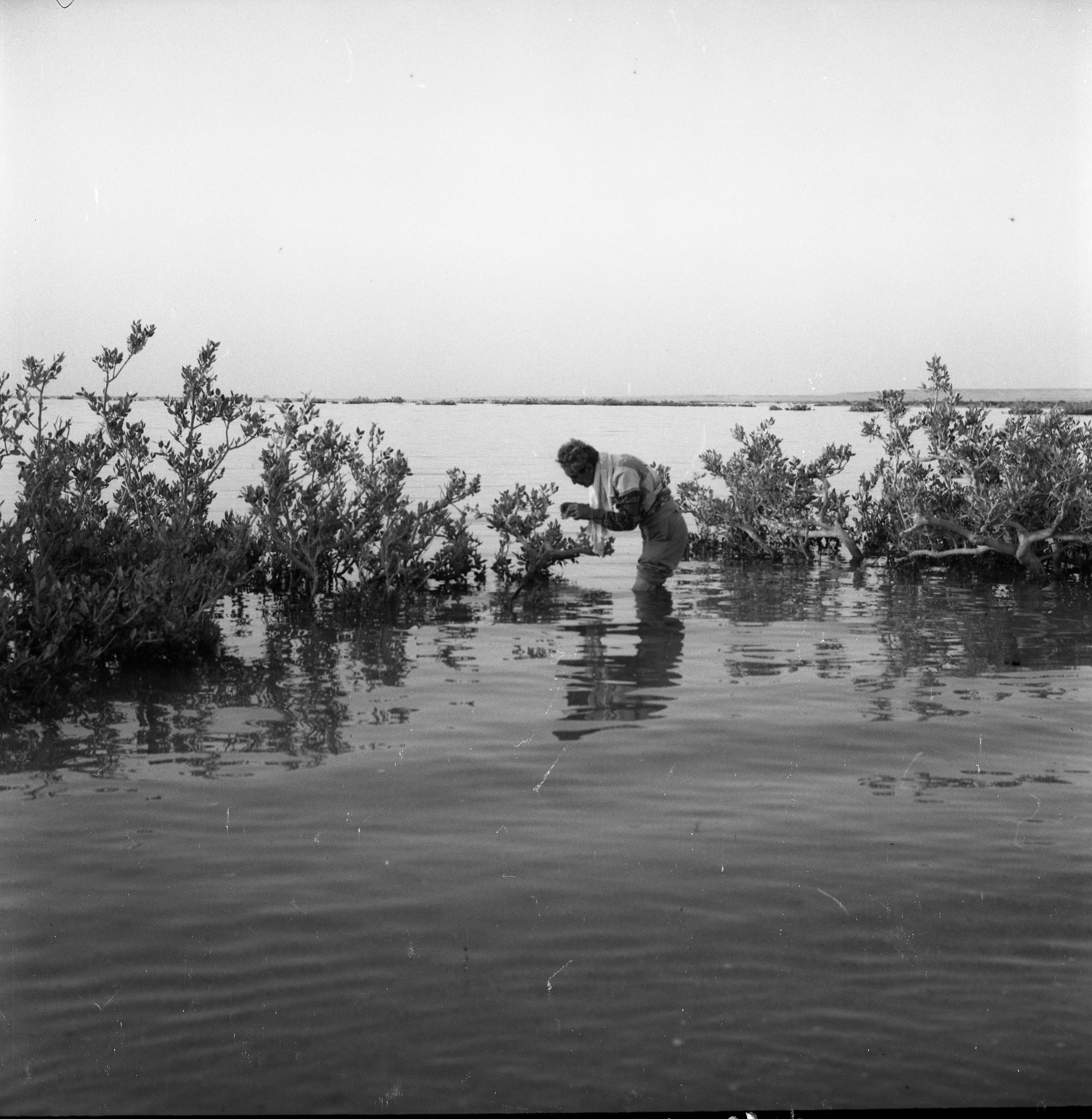  טיול חברי כפר מנחם לסיני, אבוש דובר.מרץ ; 1972