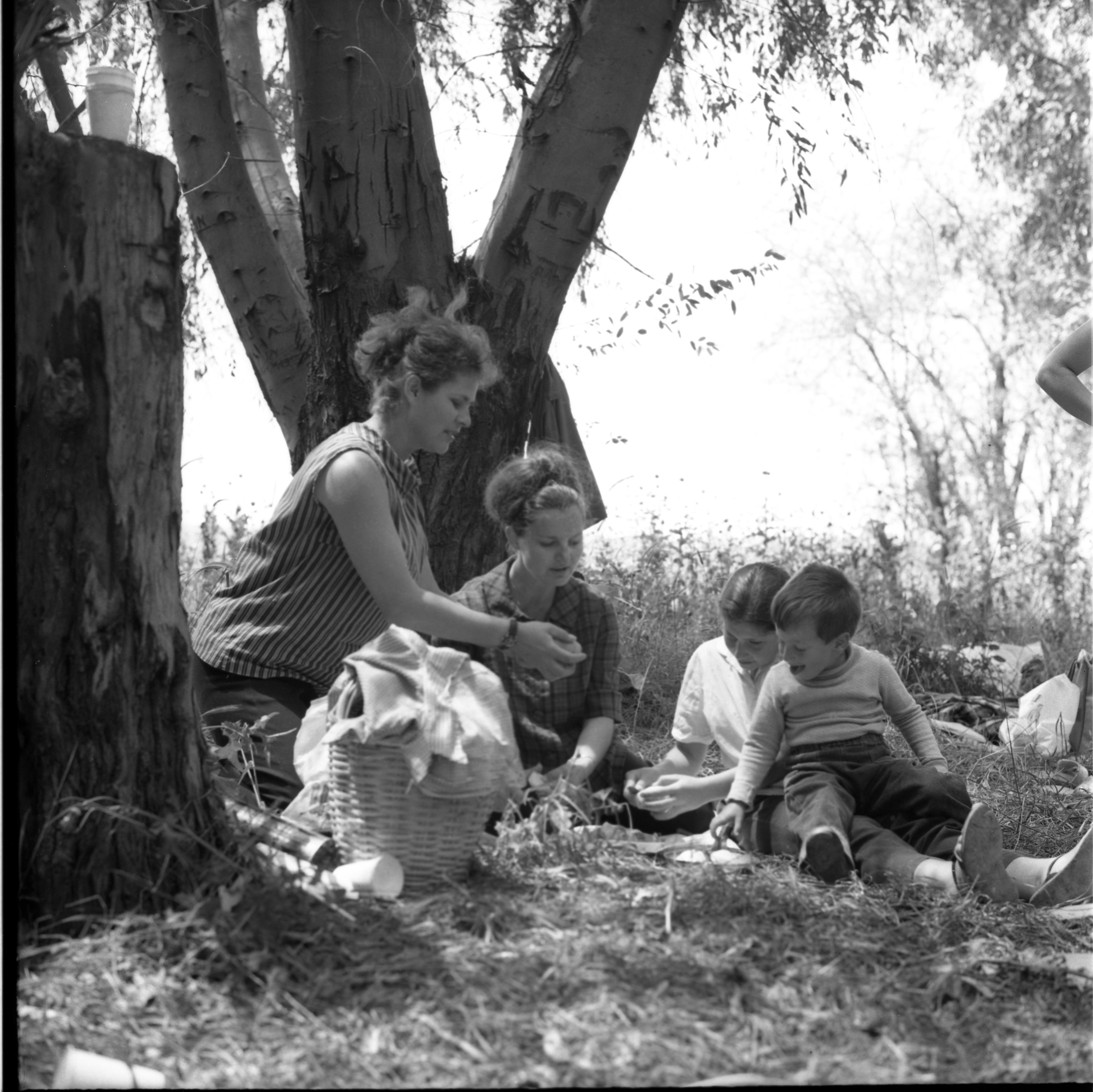  פיקניק יום העצמאות תשכ"ט; 1969