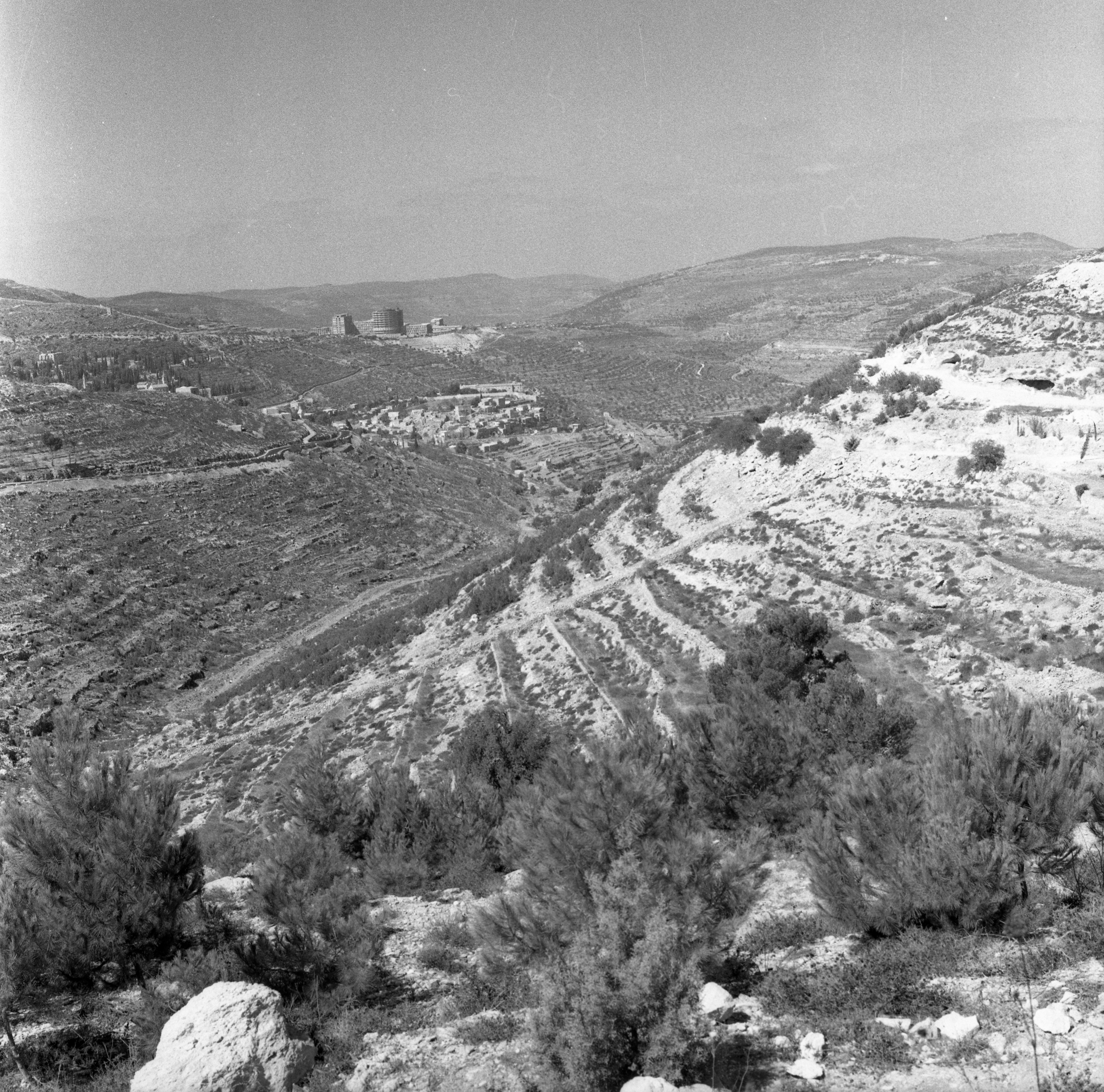  הקמת הדסה עין כרם נופש ועיון בירושלים