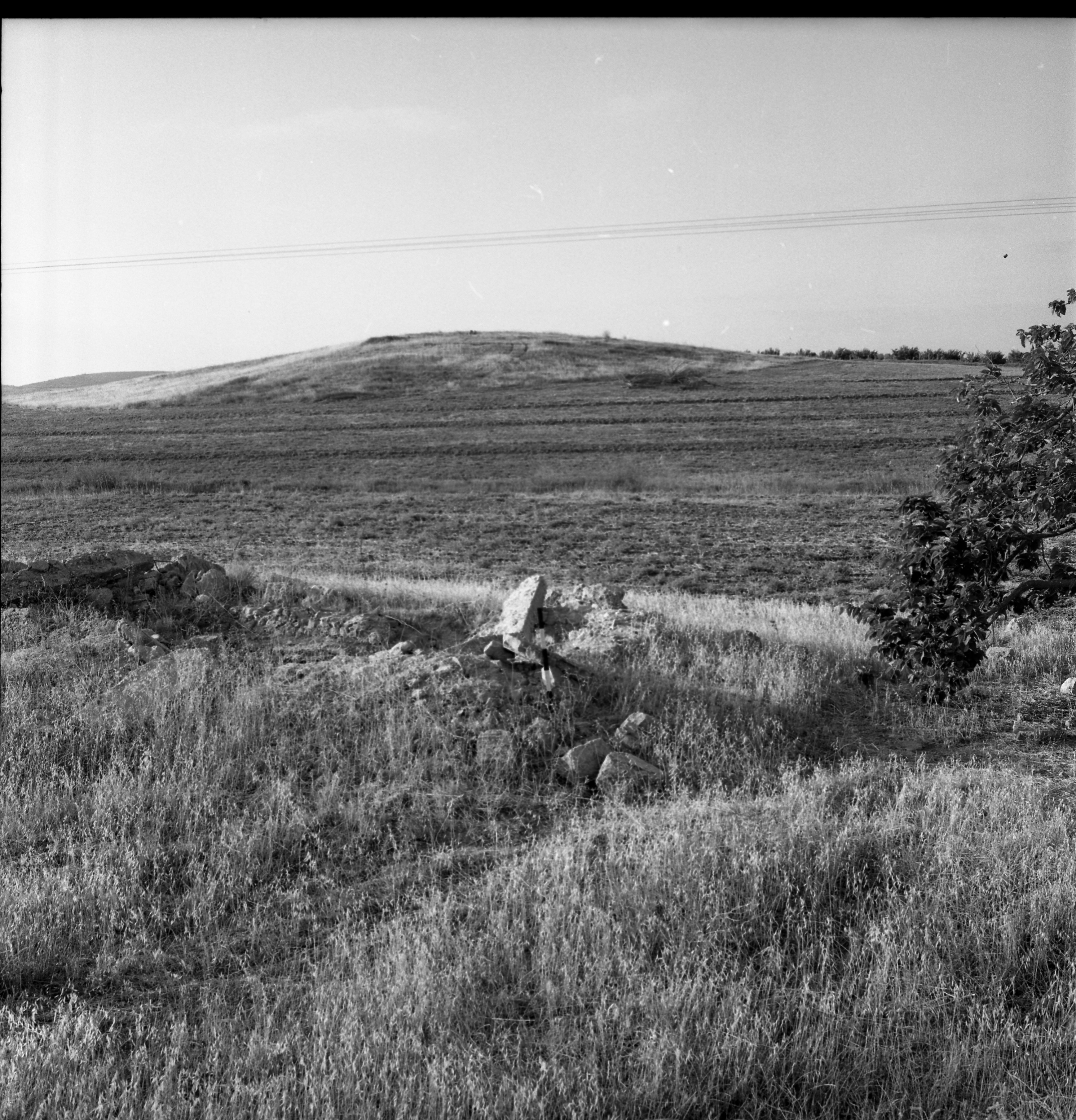  סקר ארכיאולוגי, יוני; 1960