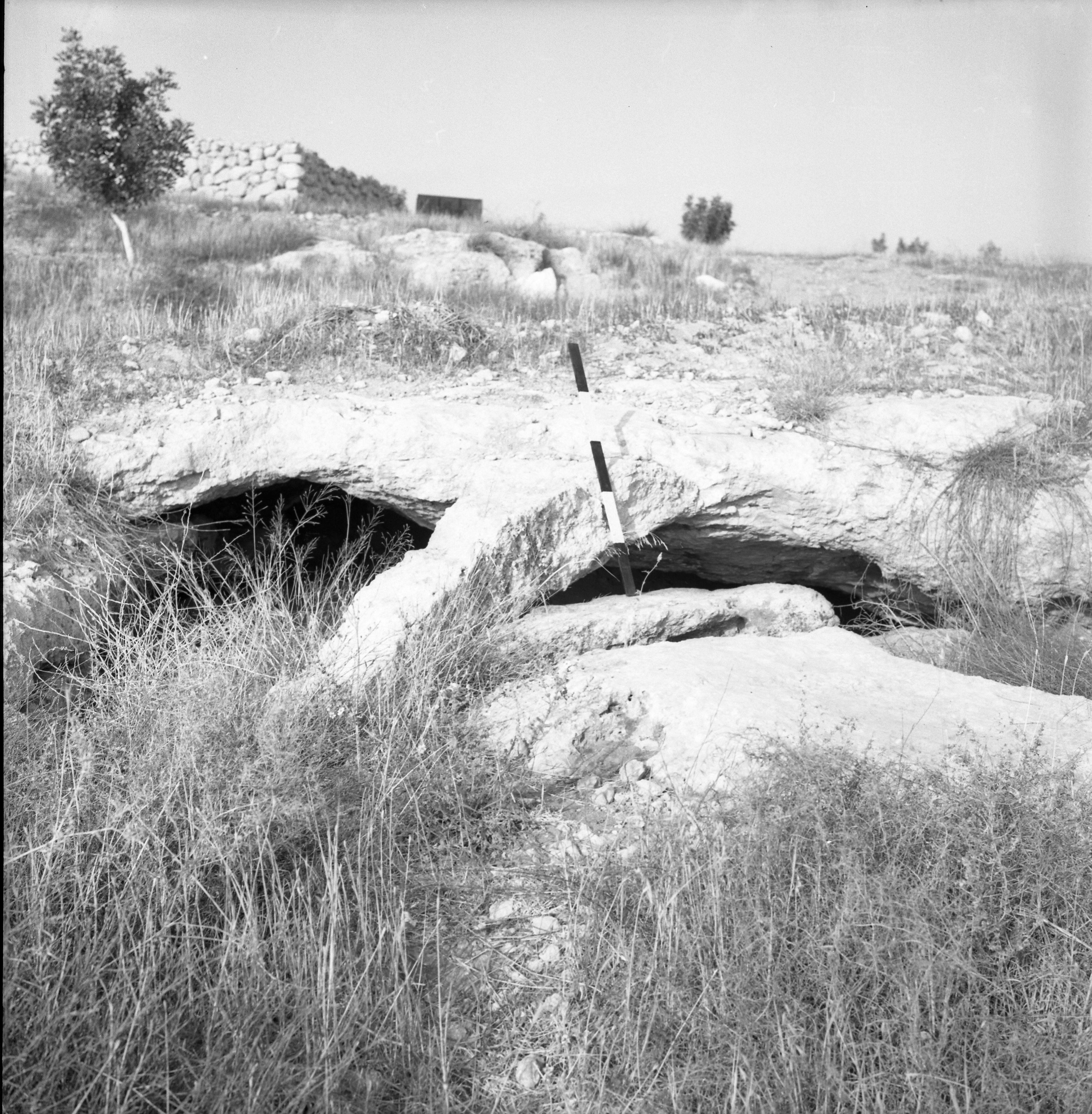  סקר ארכיאולוגי, יוני; 1960