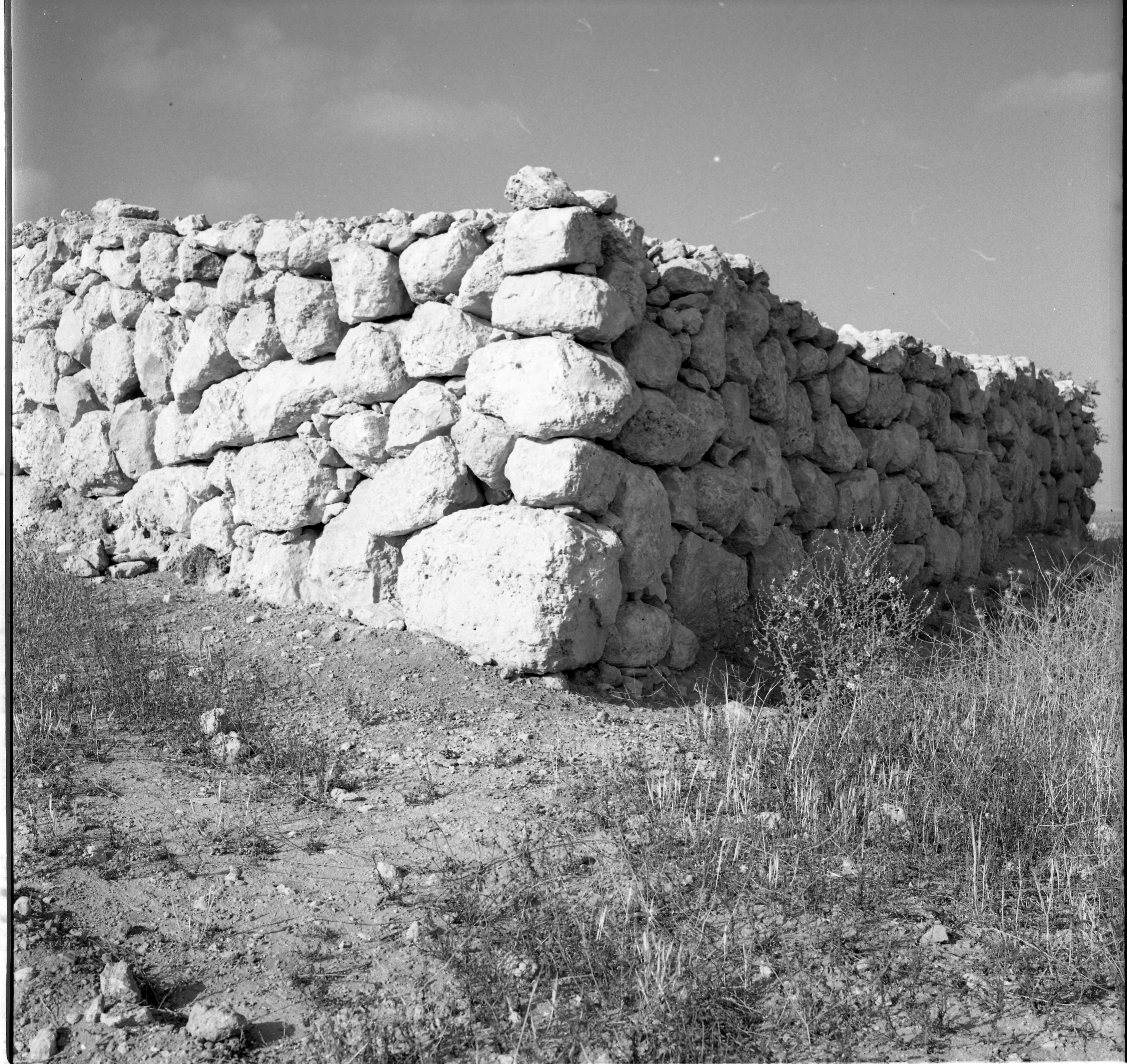  סקר ארכיאולוגי, יוני; 1960