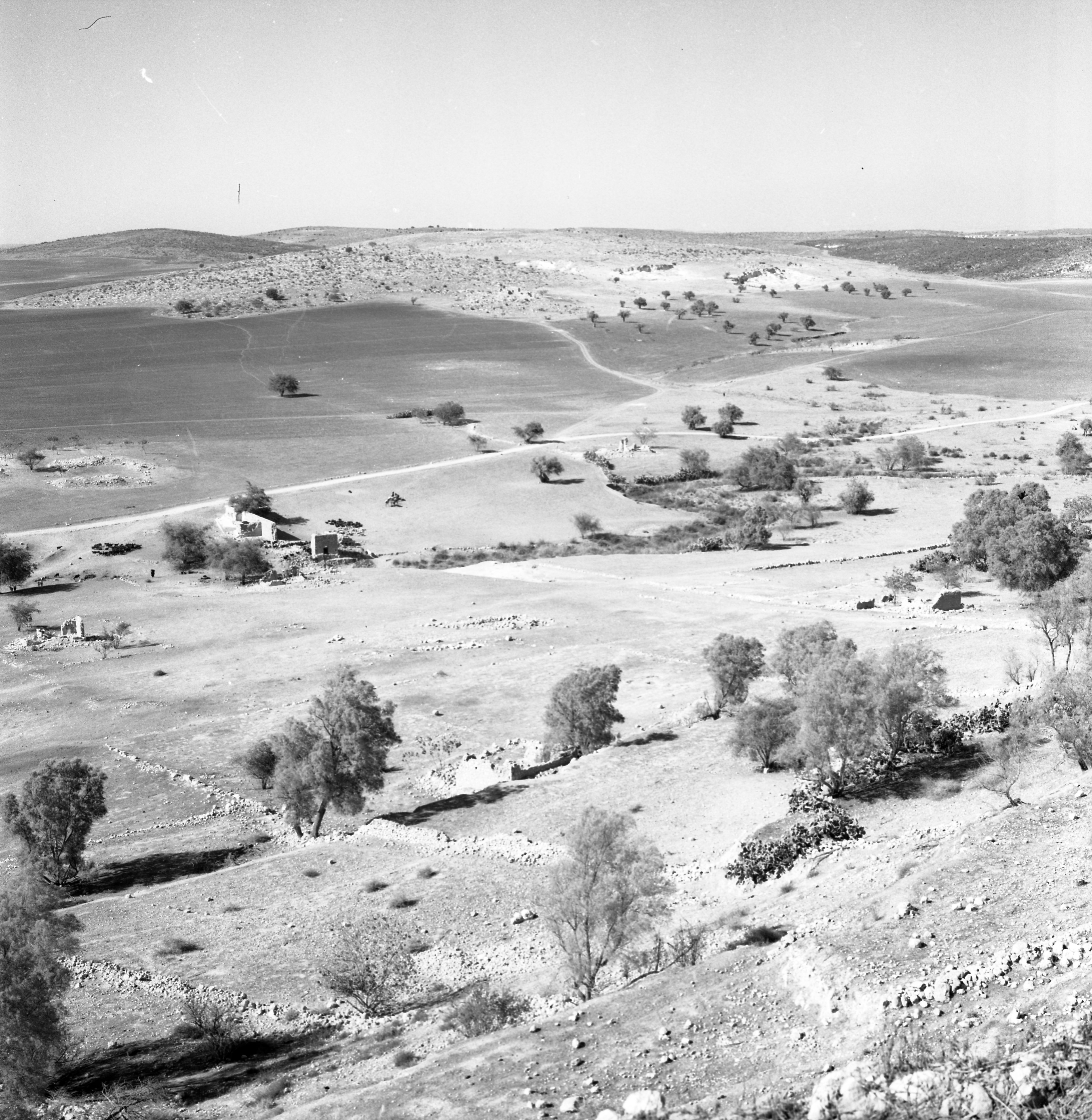  סקר ארכיאולוגי, יוני; 1960