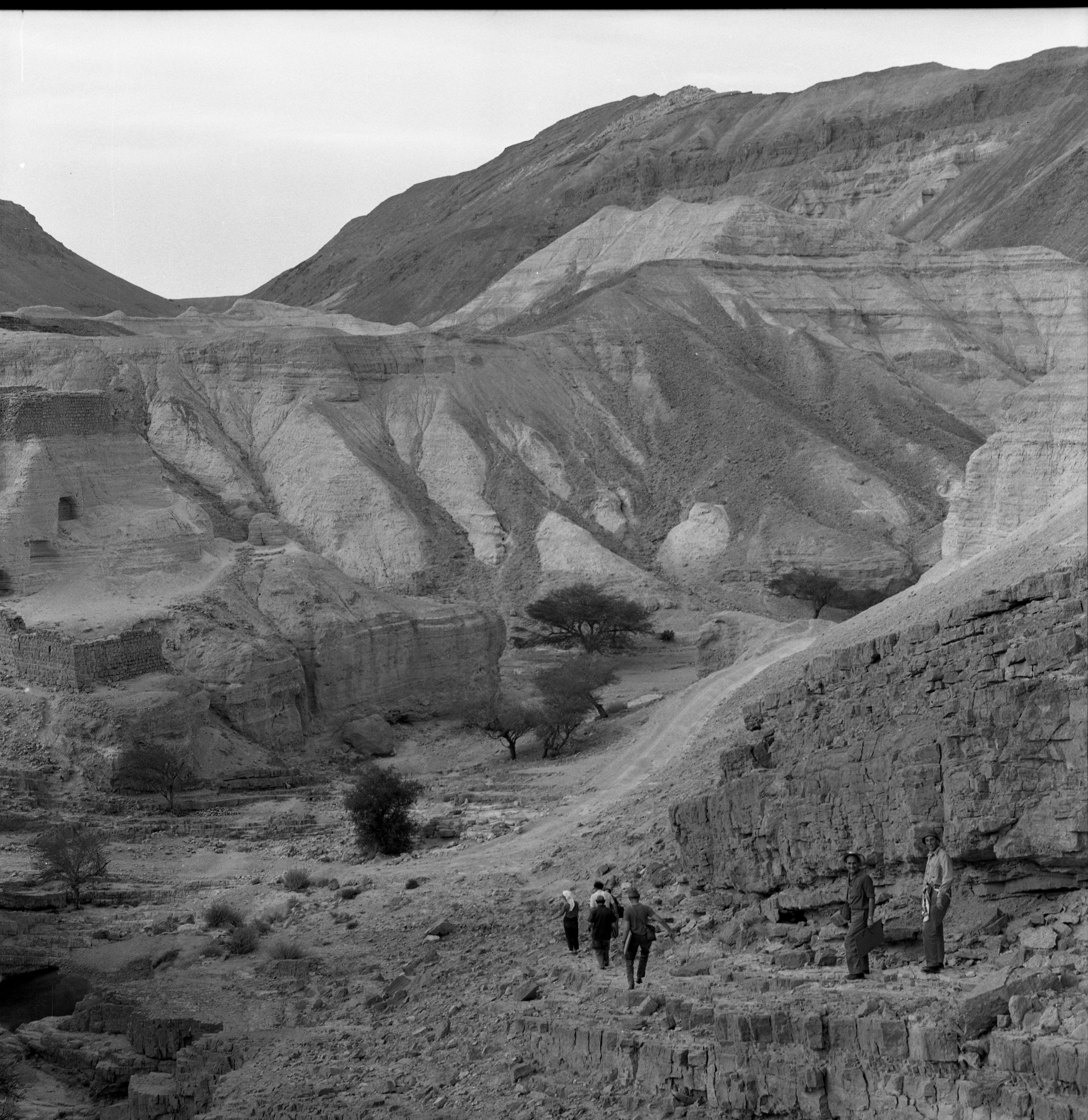  עם ציירי הקבה"א ליד מצד זהר ; 1964