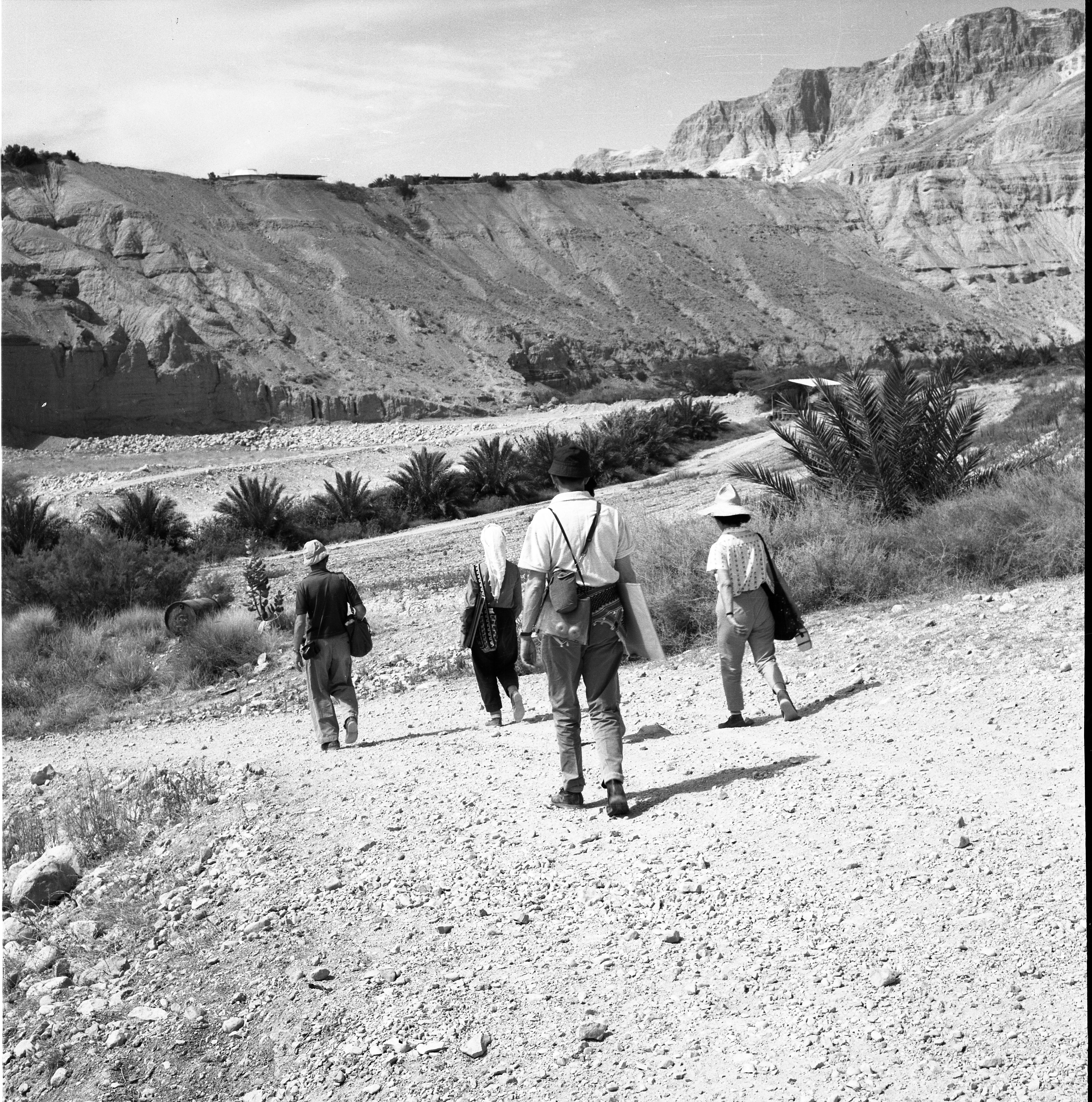  עם ציירי הקבה"א, בנחל דוד ליד עין גדי ; 1964