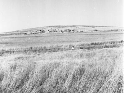  ביכורים; 1961