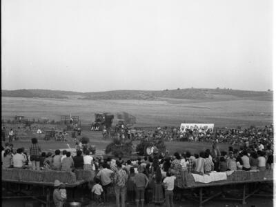  חג ביכורים; 1981