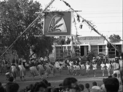  חגי עצמאות/ביכורים תשכ"ד; 1964