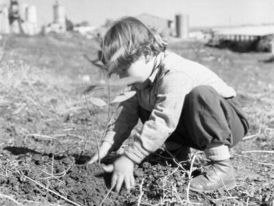  ט"ו בשבט תשכ"א; 1961