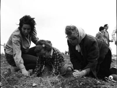 חיה פרלמוטר עם הבנות ט"ו בשבט תשכ"א; 1961