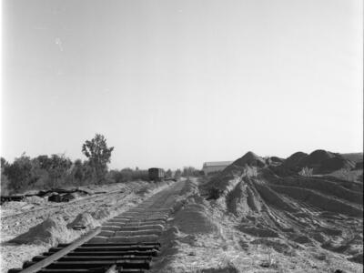  הקמת מכון מתמור ליד אשדוד; 1967