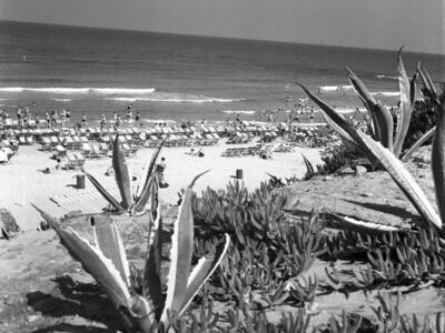  קייטנת ילדי כפר מנחם בחוף בת ים; 1957