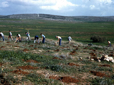 28485 - פרלמוטר_787.jpg