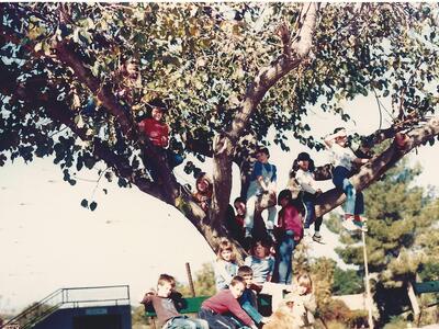 43697 - ילדי פעמון על עץ התות.jpg