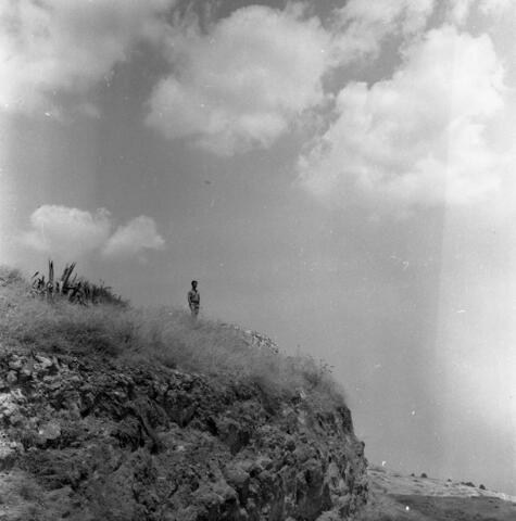  טיול בארץ, תצפית מרכס אלומות לדרום הכנרת  ; 1967
