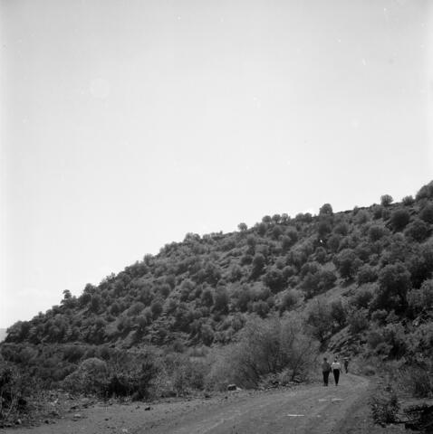  הטיול לרמת הגולן; 1973
