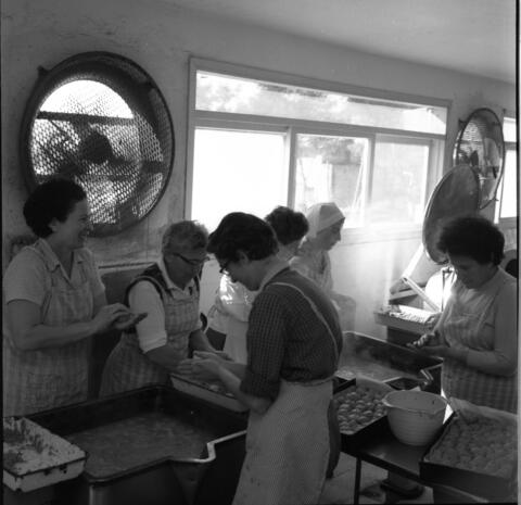  הכנות לערב פסח תשכ"ה במטבח; 1965