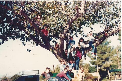 43697 - ילדי פעמון על עץ התות.jpg