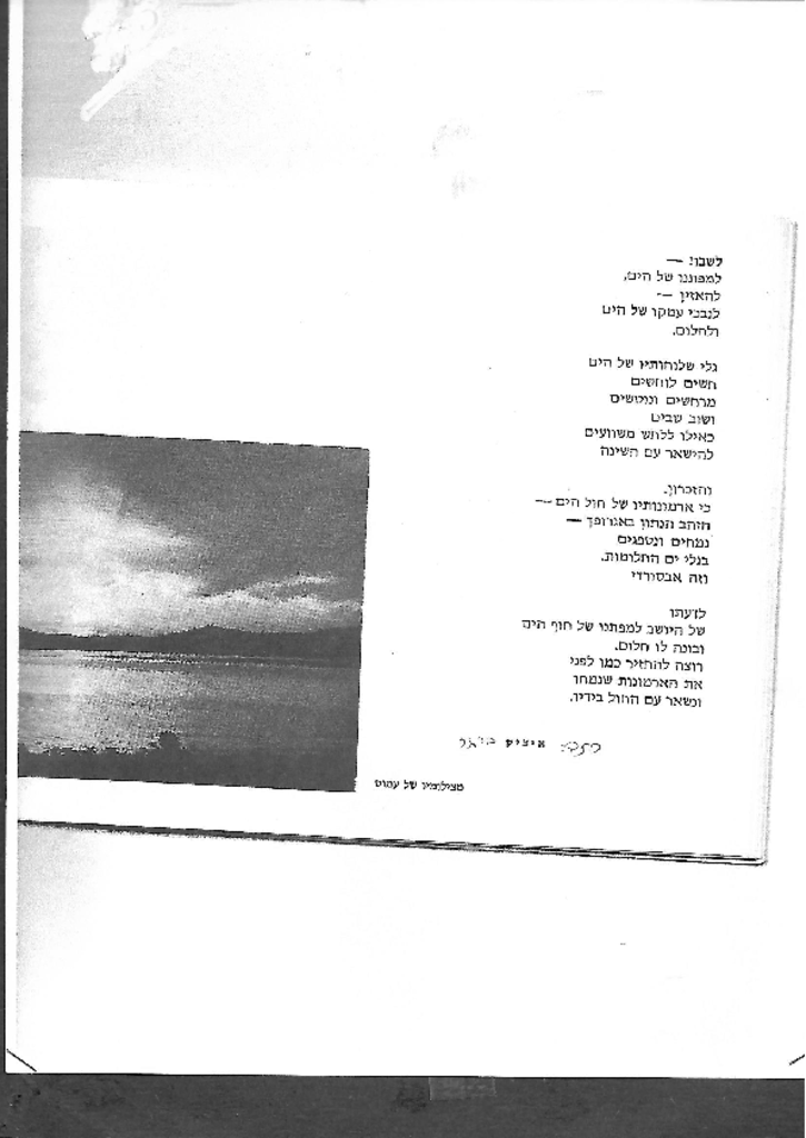 28839 - איציק כותב על עמוס.pdf