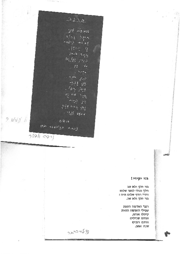 28838 - Scanורדה, צילה.pdf