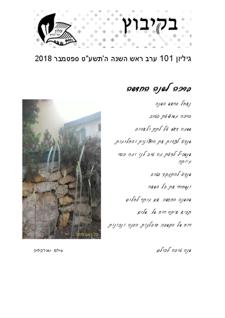 גליון 101בקיבוץ