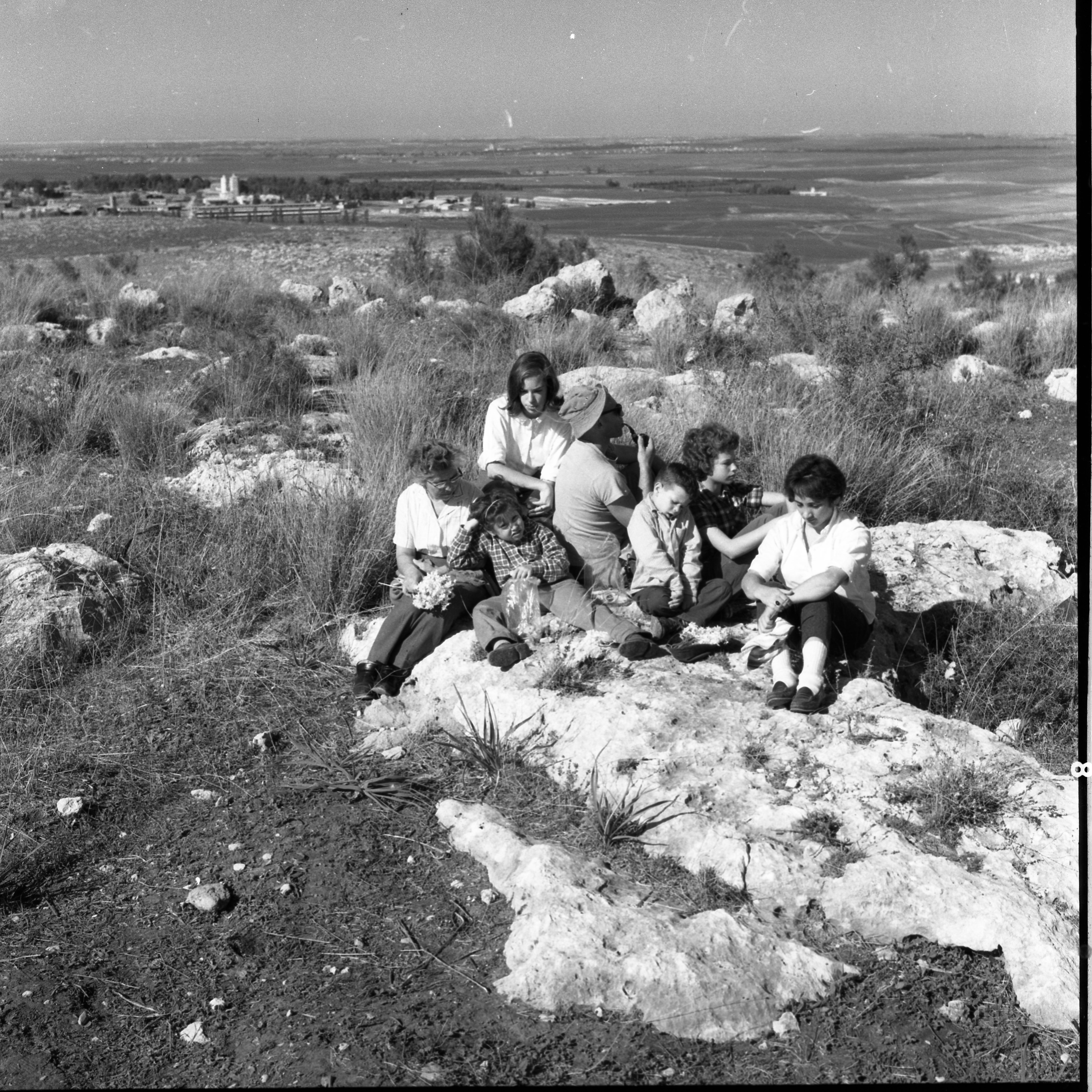  קטיף פרחים בגבעות