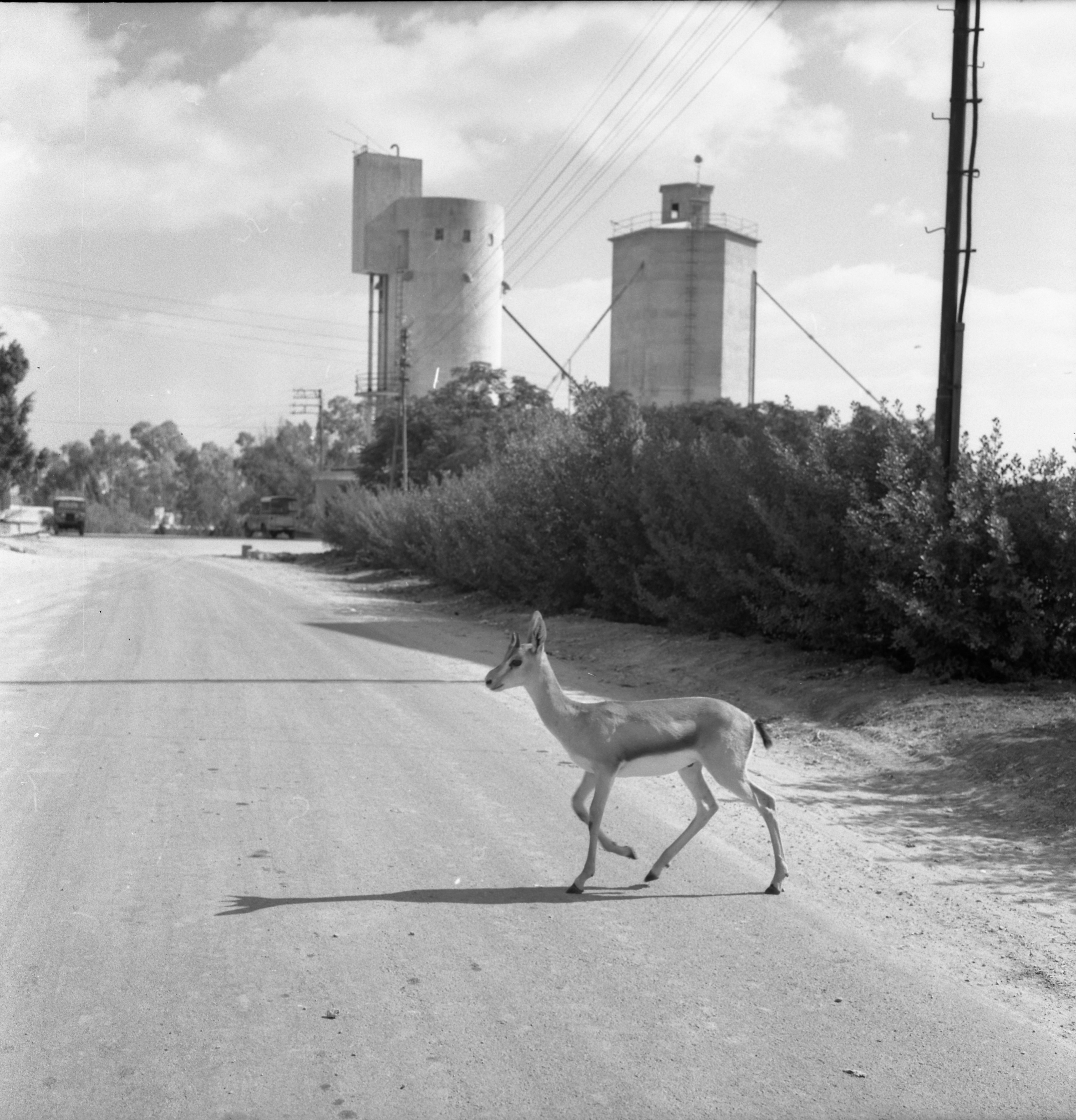  כפר מנחם; 1969