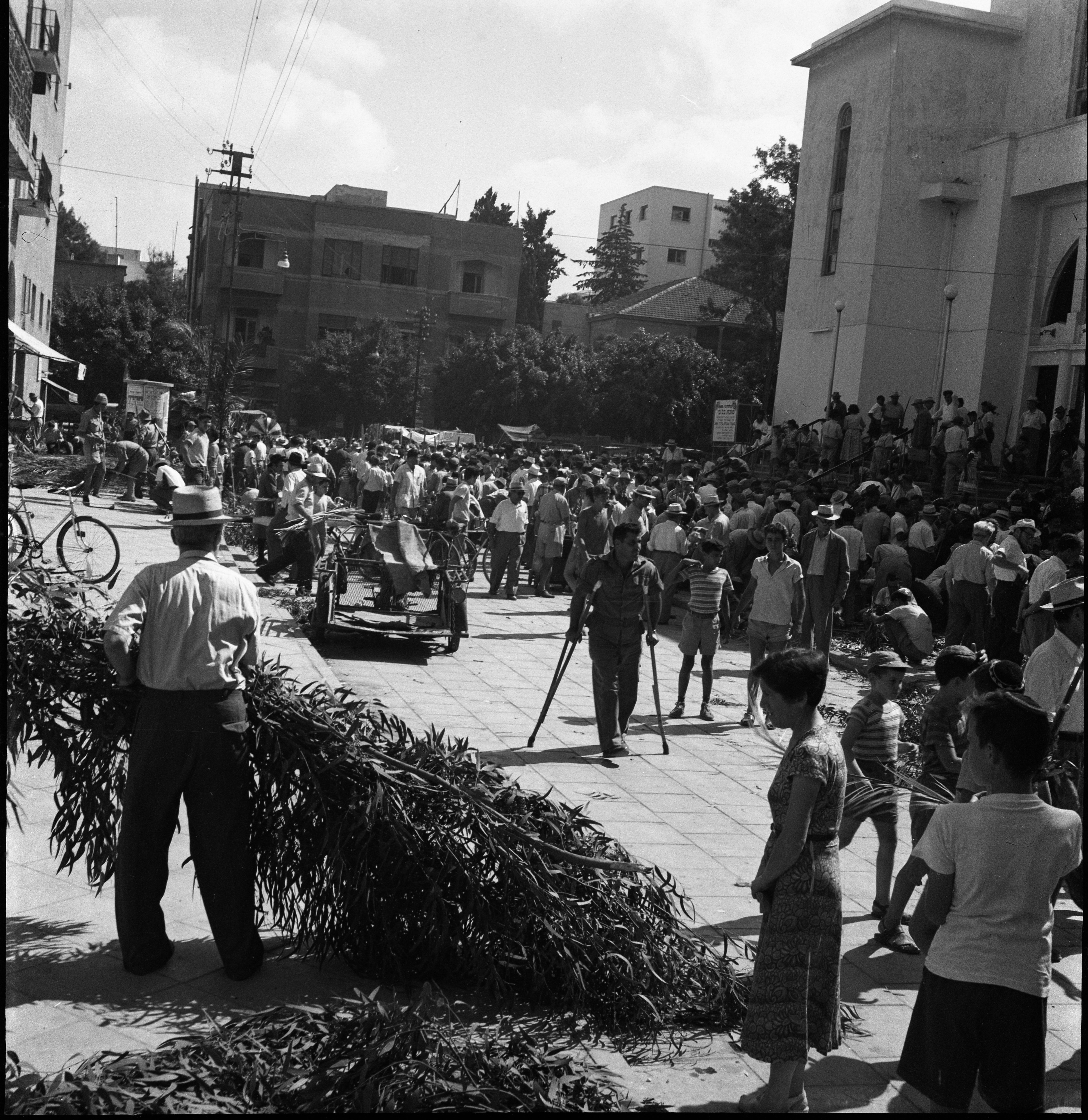  שוק סוכות ליד בית הכנסת הגדול  באלנבי תל- אביב