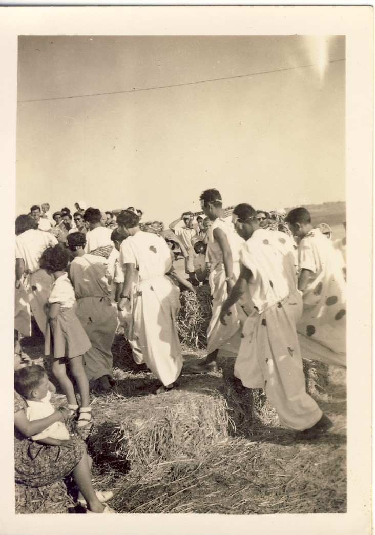 13107 -הגרעין המצרי 1946.jpg