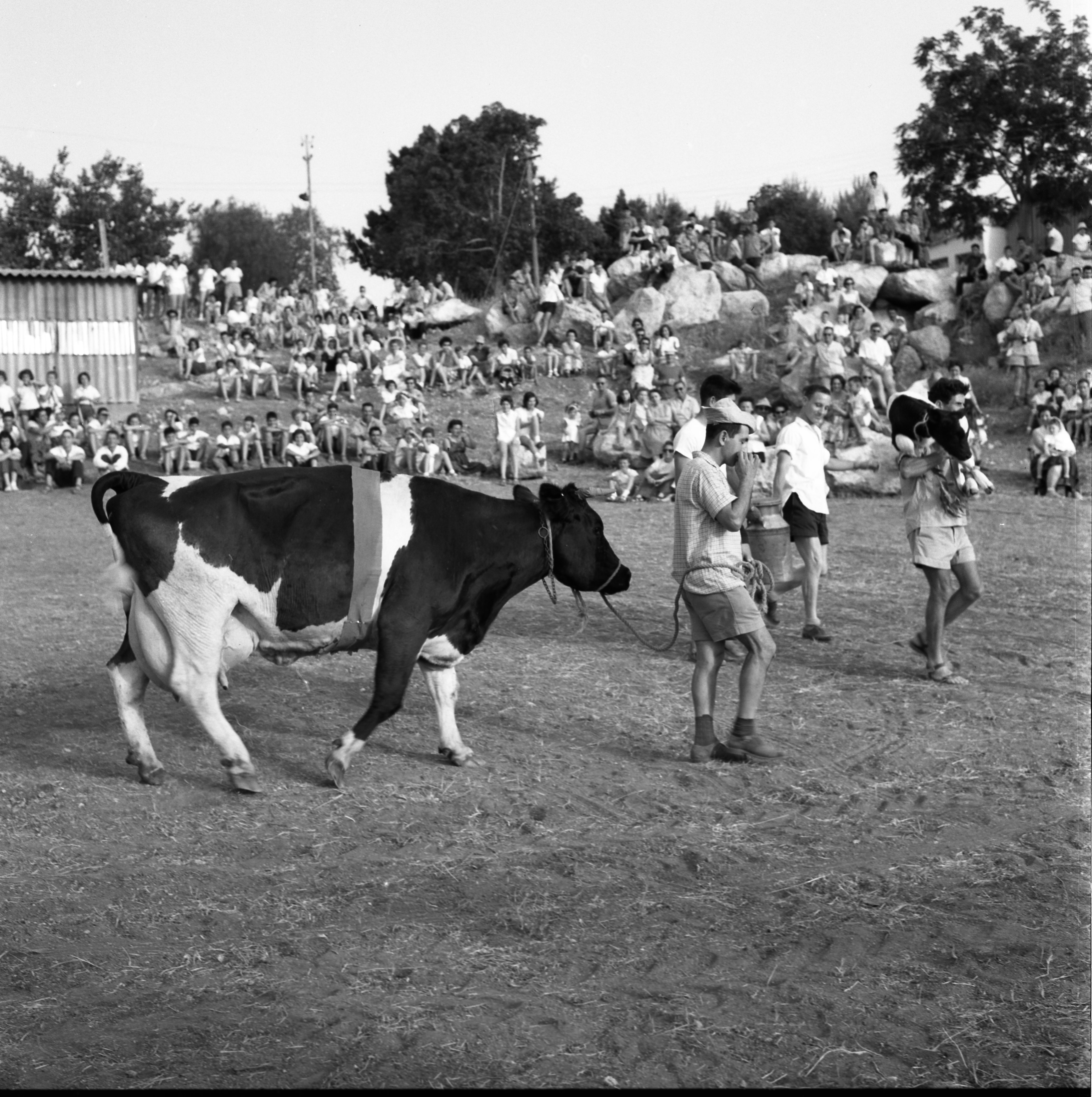  ביכורים תש"כ; 1960