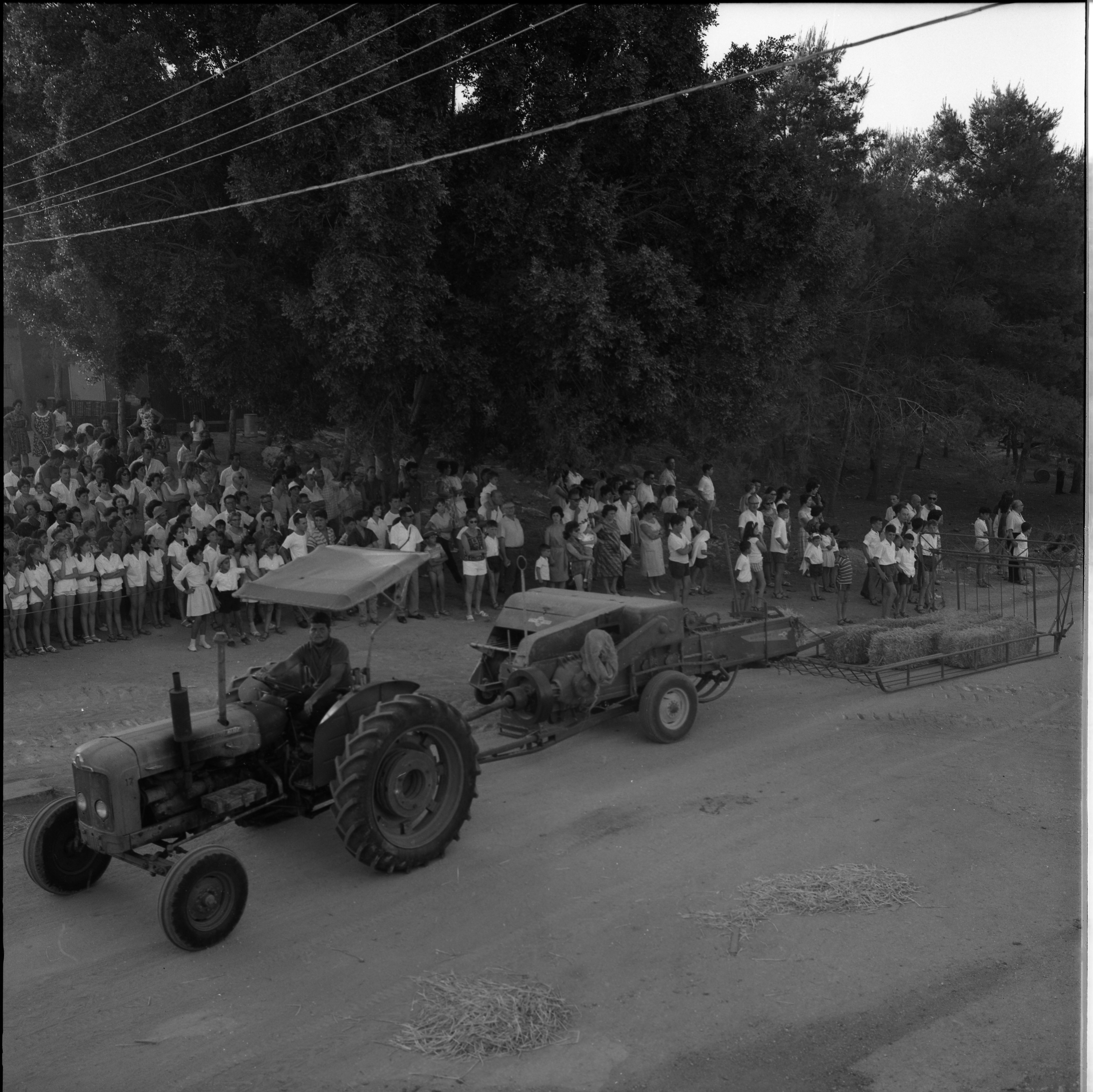  חג- הביכורים תשכ"ה; 1965