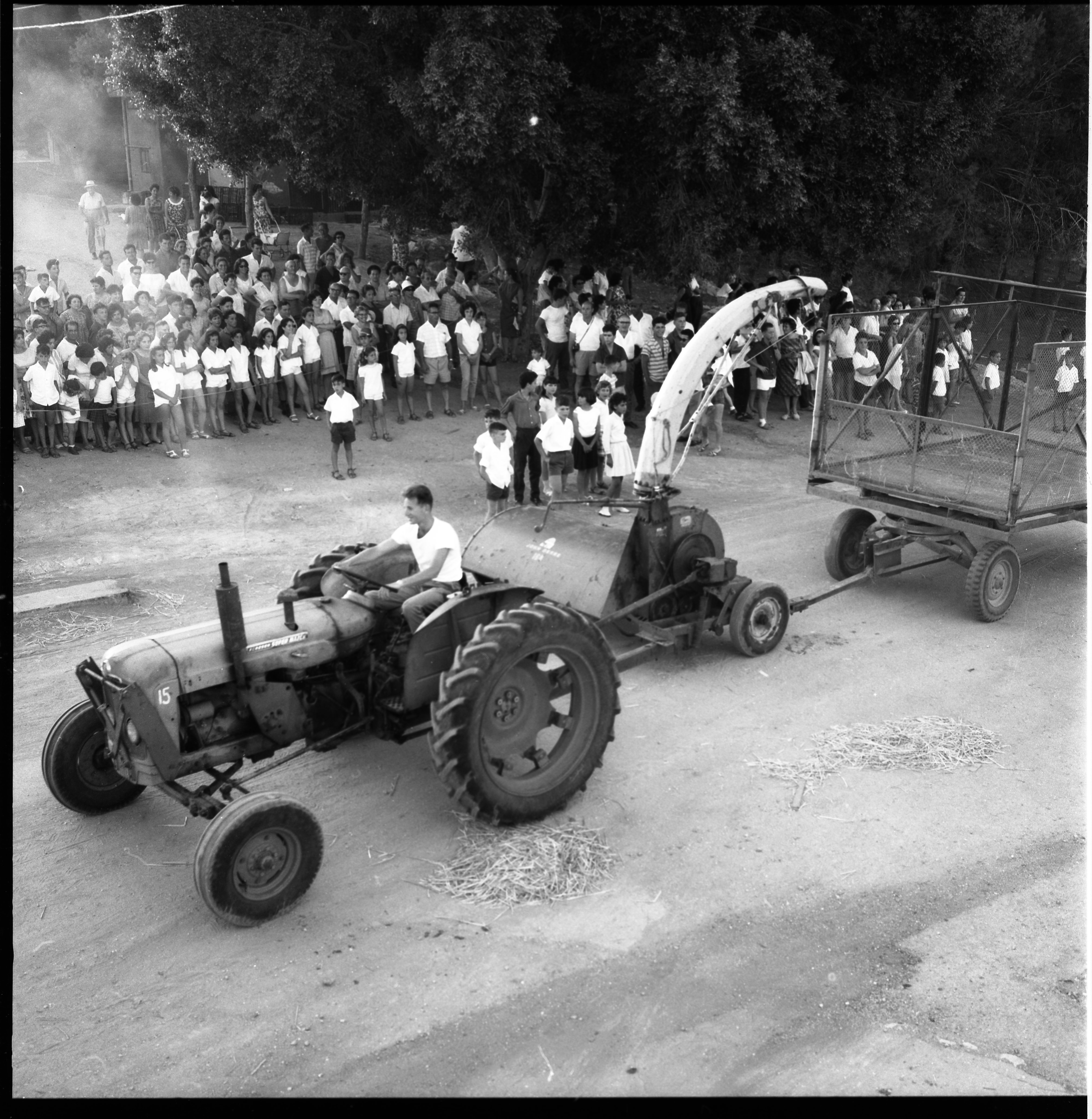  חג- הביכורים תשכ"ה; 1965