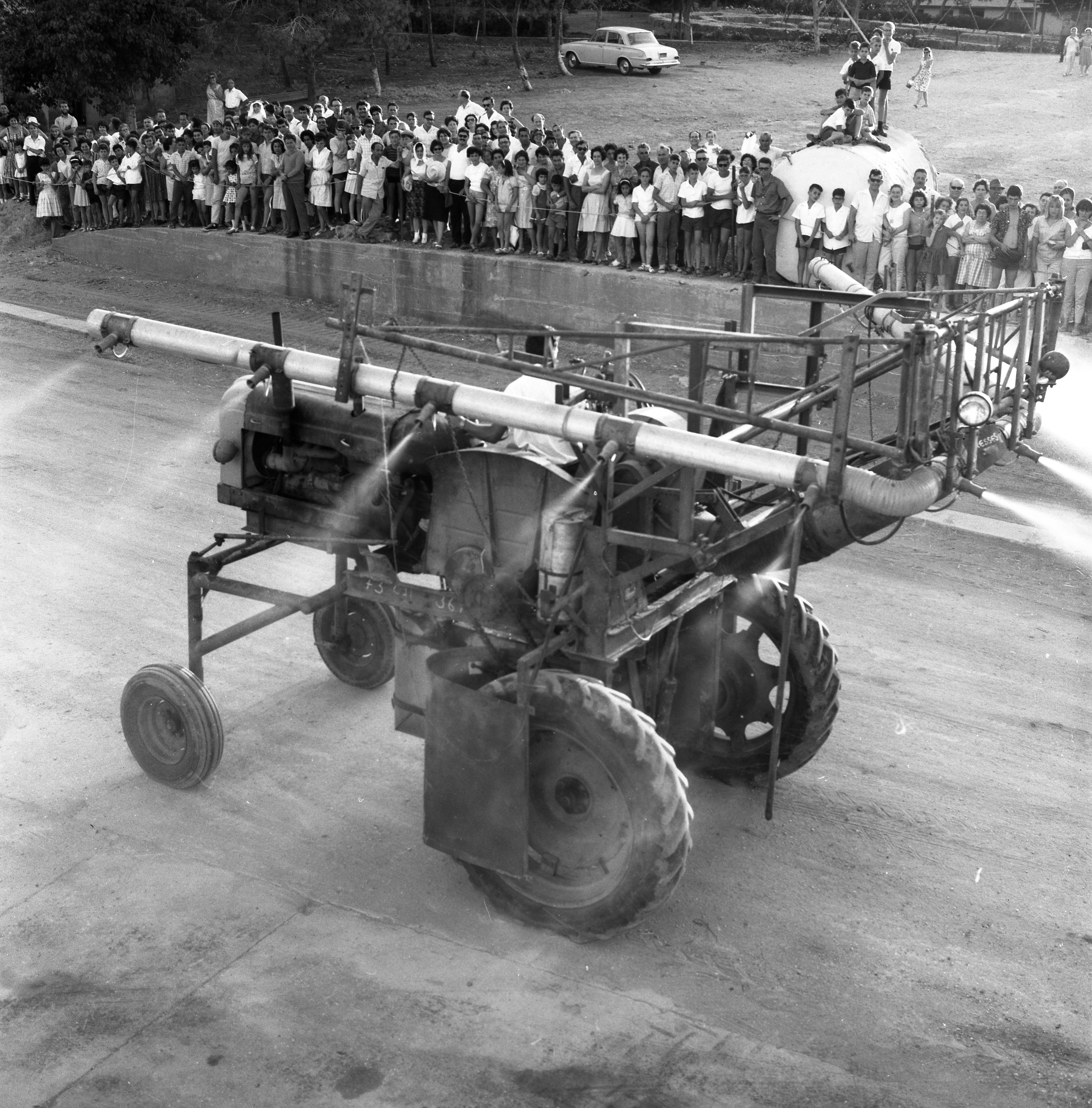  חג- הביכורים תשכ"ה; 1965