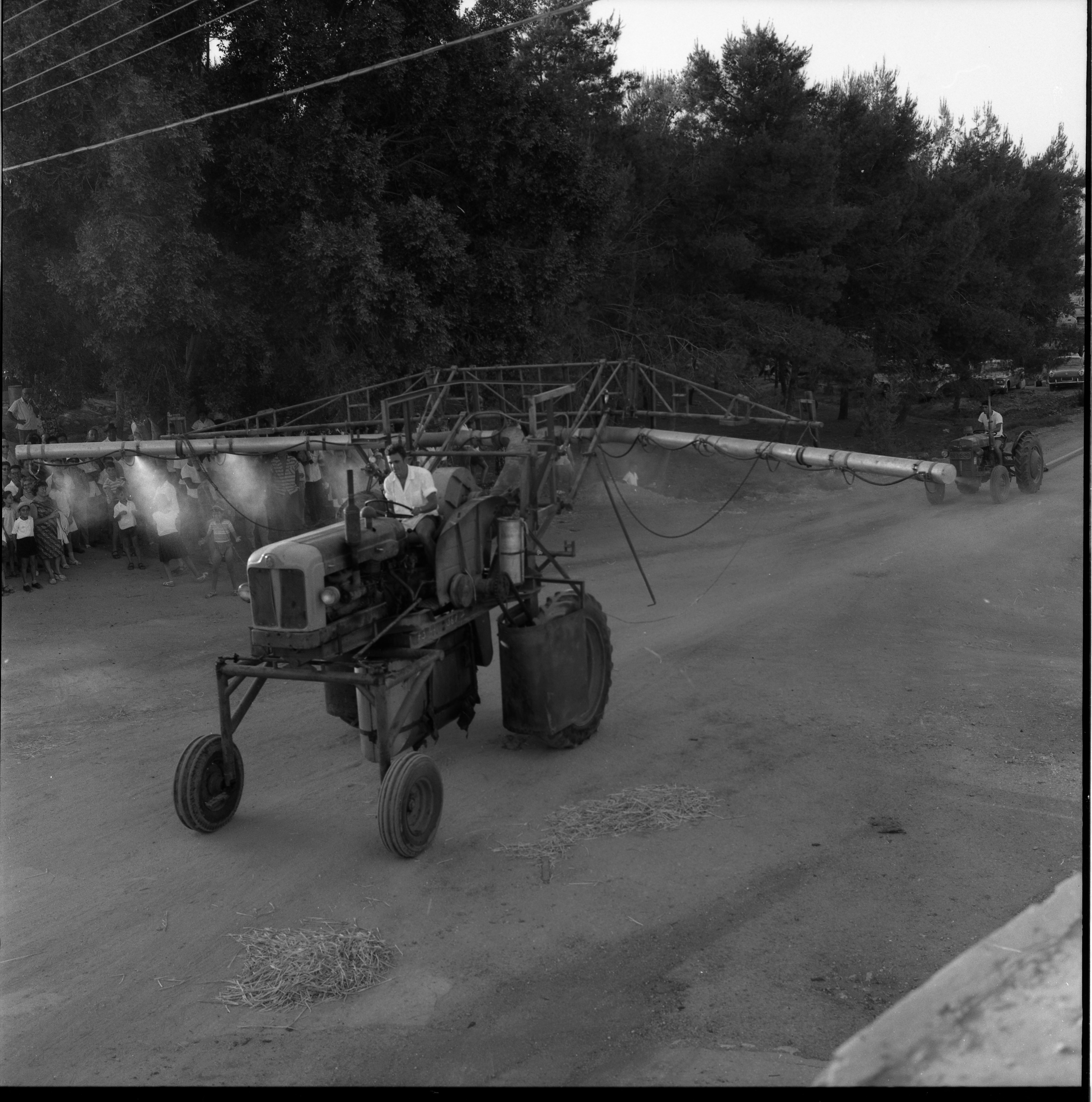  חג- הביכורים תשכ"ה; 1965