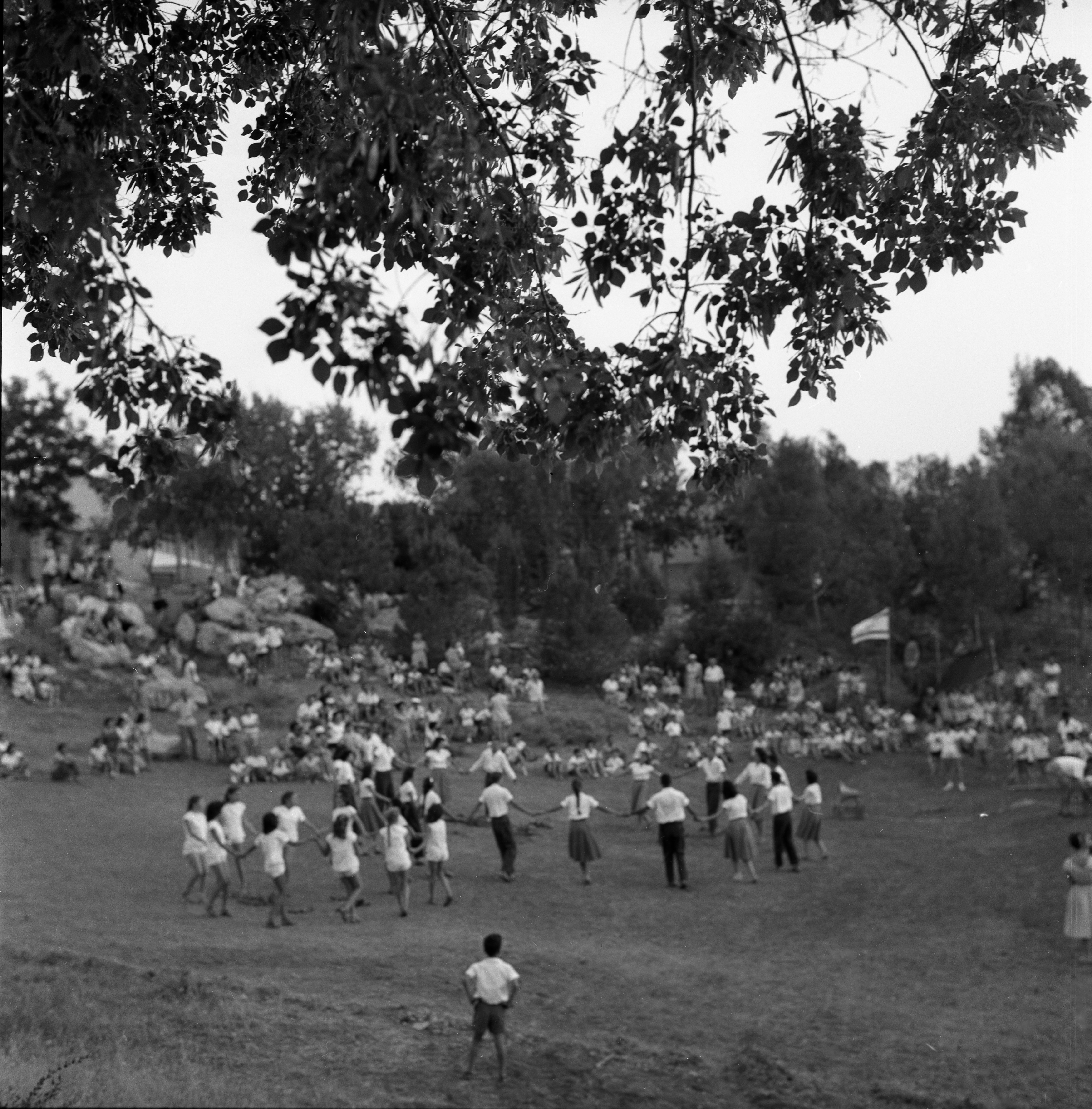  חג ביכורים; 1960