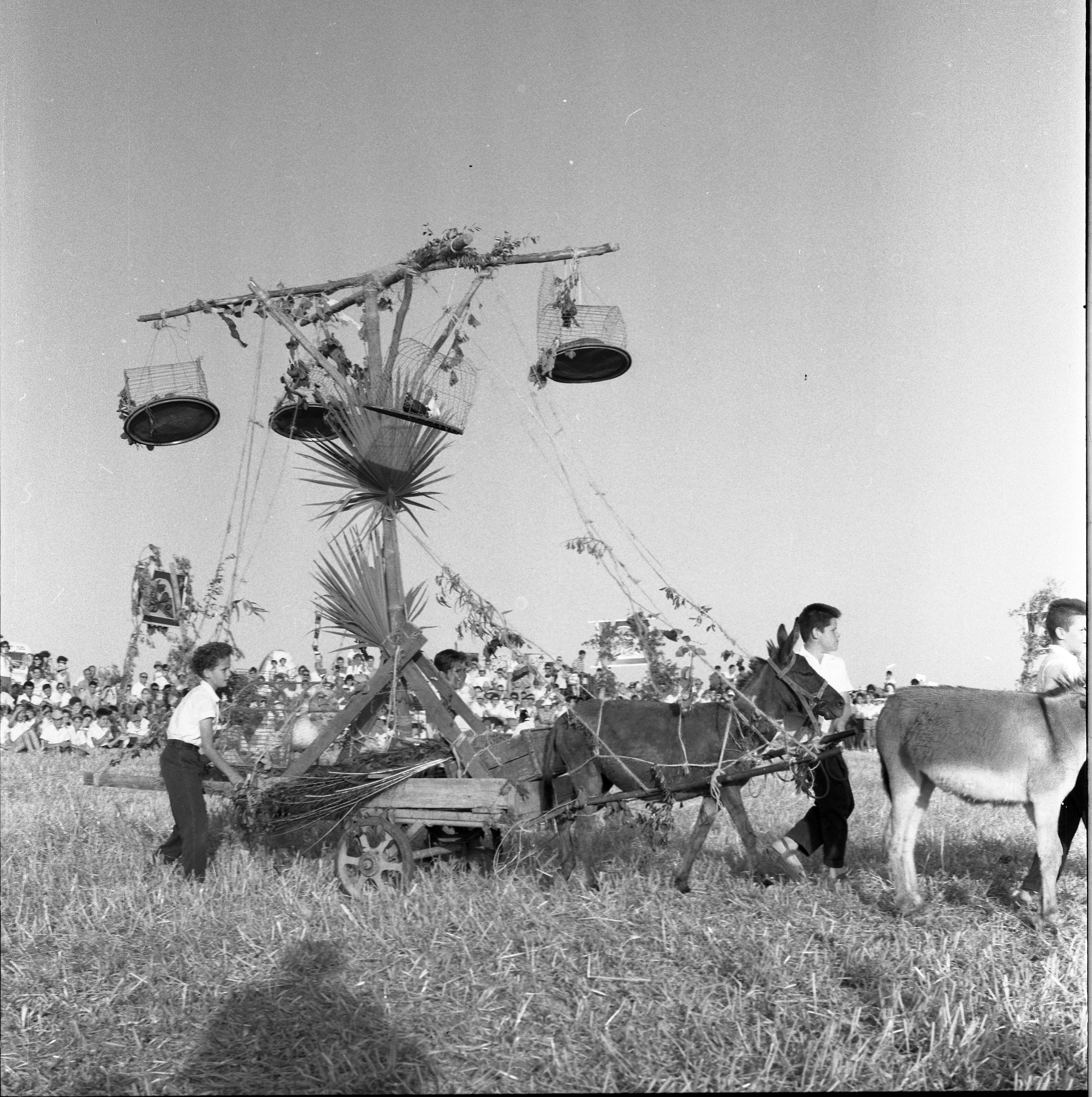  ביכורים; 1961