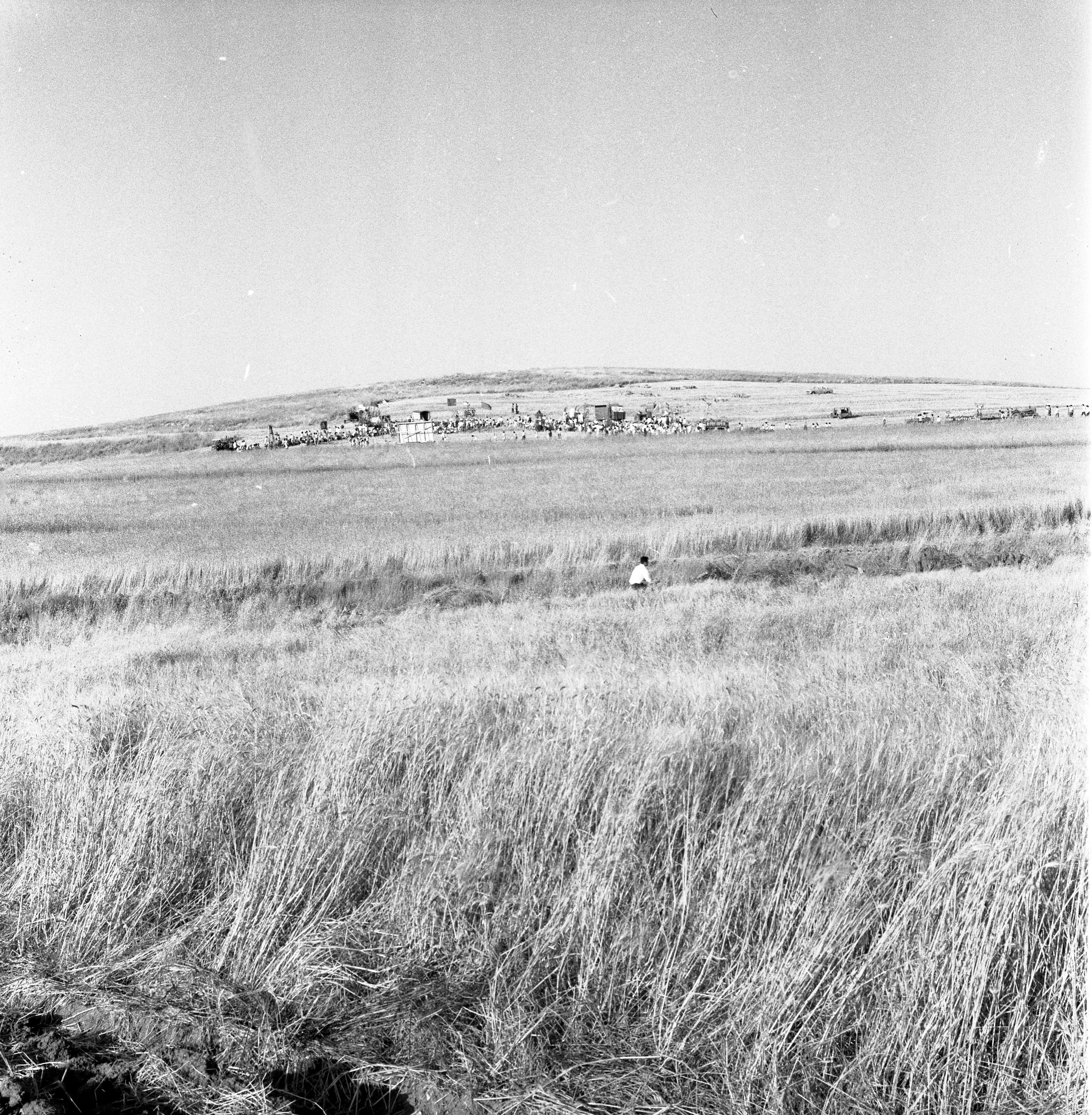  ביכורים; 1961