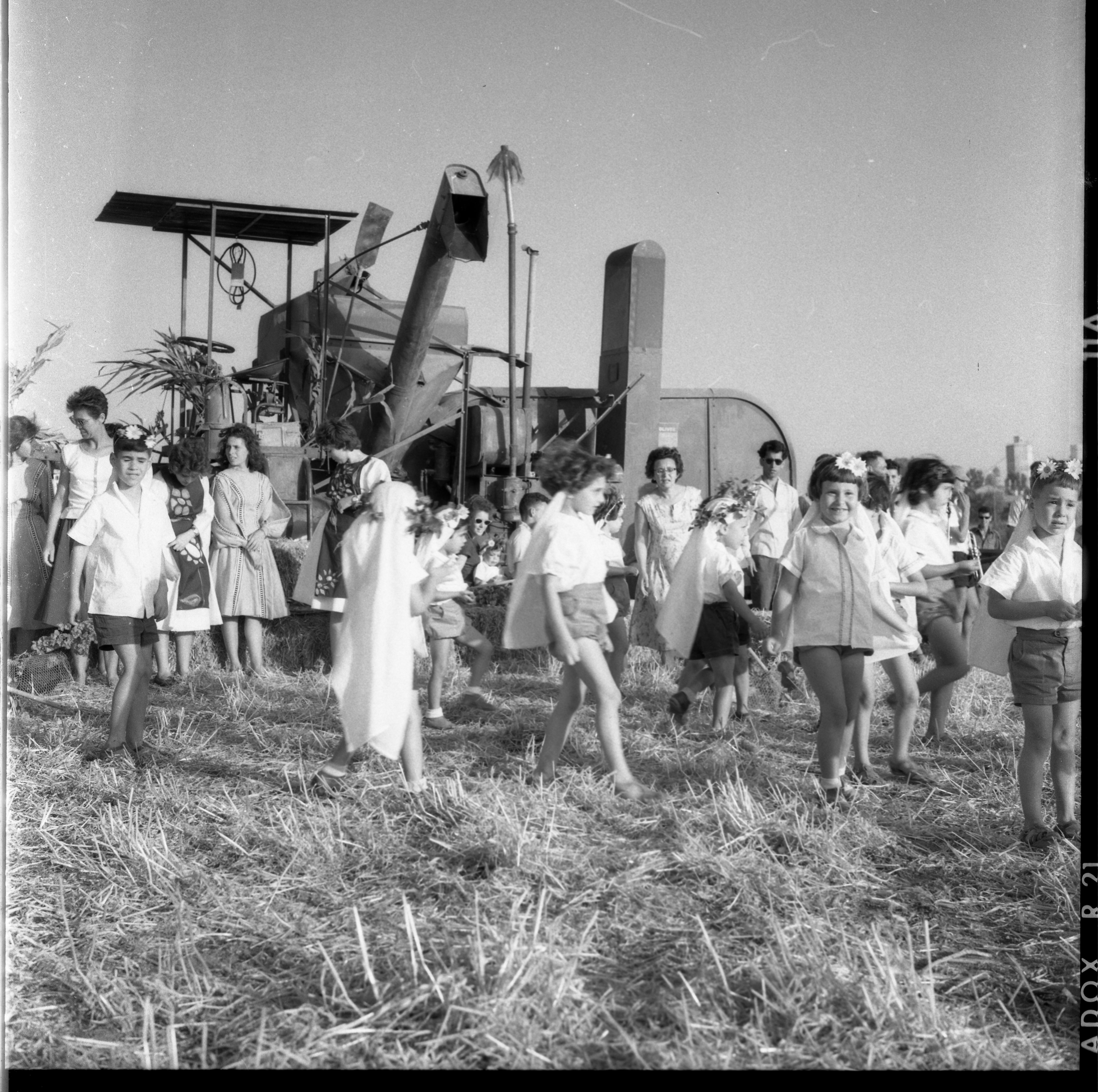  חג הביכורים; 1962